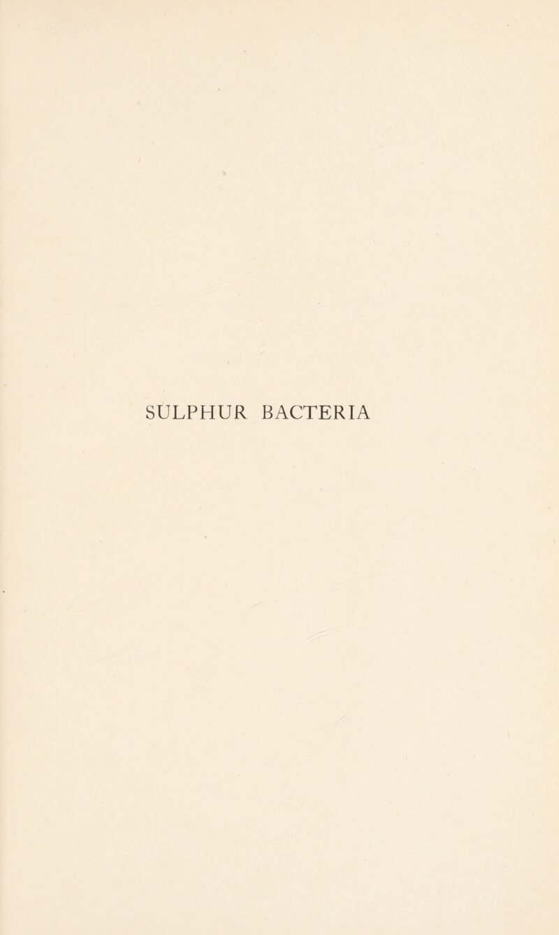 SULPHUR BACTERIA