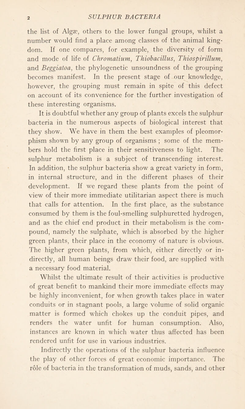 the list of Alga?, others to the lower fungal groups, whilst a number would find a place among classes of the animal king- dom. If one compares, for example, the diversity of form and mode of life of Chromatium, Thiobacillus, Thiospirillum, and Beggiatoa, the phylogenetic unsoundness of the grouping becomes manifest. In the present stage of-our knowledge, however, the grouping must remain in spite of this defect on account of its convenience for the further investigation of these interesting organisms. It is doubtful whether any group of plants excels the sulphur bacteria in the numerous aspects of biological interest that they show. We have in them the best examples of pleomor- phism shown by any group of organisms ; some of the mem- bers hold the first place in their sensitiveness to light. The sulphur metabolism is a subject of transcending interest. In addition, the sulphur bacteria show a great variety in form, in internal structure, and in the different phases of their development. If we regard these plants from the point of view of their more immediate utilitarian aspect there is much that calls for attention. In the first place, as the substance consumed by them is the foul-smelling sulphuretted hydrogen, and as the chief end product in their metabolism is the com- pound, namely the sulphate, which is absorbed by the higher green plants, their place in the economy of nature is obvious. The higher green plants, from which, either directly or in- directly, all human beings draw their food, are supplied with a necessary food material. Whilst the ultimate result of their activities is productive of great benefit to mankind their more immediate effects may be highly inconvenient, for when growth takes place in water conduits or in stagnant pools, a large volume of solid organic matter is formed which chokes up the conduit pipes, and renders the water unfit for human consumption. Also, instances are known in which water thus affected has been rendered unfit for use in various industries. Indirectly the operations of the sulphur bacteria influence the play of other forces of great economic importance. The role of bacteria in the transformation of muds, sands, and other
