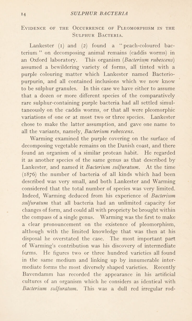 Evidence of the Occurrence of Pleomorphism in the Sulphur Bacteria. Lankester (i) and (2) found a “peach-coloured bac- terium ” on decomposing animal remains (caddis worms) in an Oxford laboratory. This organism [Bacterium ruhescens) assumed a bewildering variety of forms, all tinted with a purple colouring matter which Lankester named Bacterio- purpurin, and all contained inclusions which we now know to be sulphur granules. In this case we have either to assume that a dozen or more different species of the comparatively rare sulphur-containing purple bacteria had all settled simul- taneously on the caddis worms, or that all were pleomorphic variations of one or at most two or three species. Lankester chose to make the latter assumption, and gave one name to all the variants, namely. Bacterium ruhescens. Warming examined the purple covering on the surface of decomposing vegetable remains on the Danish coast, and there found an organism of a similar protean habit. He regarded it as another species of the same genus as that described by Lankester, and named it Bacterium sulfuratum. At the time (1876) the number of bacteria of all kinds which had been described was very small, and both Lankester and Warming considered that the total number of species was very limited. Indeed, Warming deduced from his experience of Bacterium sulfuratum that all bacteria had an unlimited capacity for changes of form, and could all with propriety be brought within the compass of a single genus. Warming was the first to make a clear pronouncement on the existence of pleomorphism, although with the limited knowledge that was then at his disposal he overstated the case. The most important part of Warming’s contribution was his discovery of intermediate farms. He figures two or three hundred varieties all found in the same medium and linking up by innumerable inter- mediate forms the most diversely shaped varieties. Recently Bavendamm has recorded the appearance in his artificial cultures of an organism which he considers as identical with Bacterium sulfuratum. This was a dull red irregular rod-