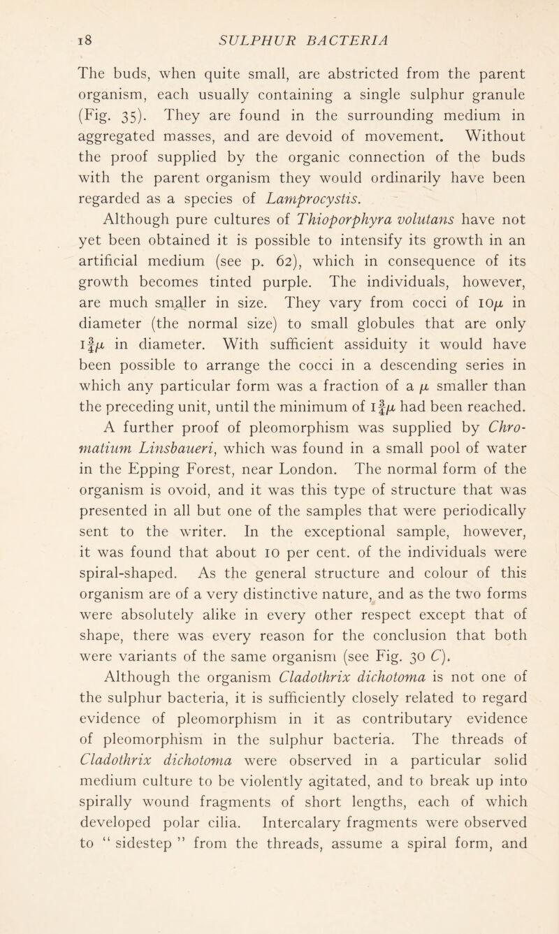 The buds, when quite small, are abstricted from the parent organism, each usually containing a single sulphur granule (Fig. 35). They are found in the surrounding medium in aggregated masses, and are devoid of movement. Without the proof supplied by the organic connection of the buds with the parent organism they would ordinarily have been regarded as a species of Lamprocystis. Although pure cultures of Thioporphyra volutans have not yet been obtained it is possible to intensify its growth in an artificial medium (see p. 62), which in consequence of its growth becomes tinted purple. The individuals, however, are much smajler in size. They vary from cocci of lO/x in diameter (the normal size) to small globules that are only if/x in diameter. With sufficient assiduity it would have been possible to arrange the cocci in a descending series in which any particular form was a fraction of a jtt smaller than the preceding unit, until the minimum of had been reached. A further proof of pleomorphism was supplied by Chro- niatium Linsbaueri, which was found in a small pool of water in the Epping Forest, near London. The normal form of the organism is ovoid, and it was this type of structure that was presented in all but one of the samples that were periodically sent to the writer. In the exceptional sample, however, it was found that about 10 per cent, of the individuals were spiral-shaped. As the general structure and colour of this organism are of a very distinctive nature, and as the two forms were absolutely alike in every other respect except that of shape, there was every reason for the conclusion that both were variants of the same organism (see Fig. 30 L). Although the organism Cladothrix dichotoma is not one of the sulphur bacteria, it is sufficiently closely related to regard evidence of pleomorphism in it as contributary evidence of pleomorphism in the sulphur bacteria. The threads of Cladothrix dichotoma were observed in a particular solid medium culture to be violently agitated, and to break up into spirally wound fragments of short lengths, each of which developed polar cilia. Intercalary fragments were observed to “ sidestep ” from the threads, assume a spiral form, and