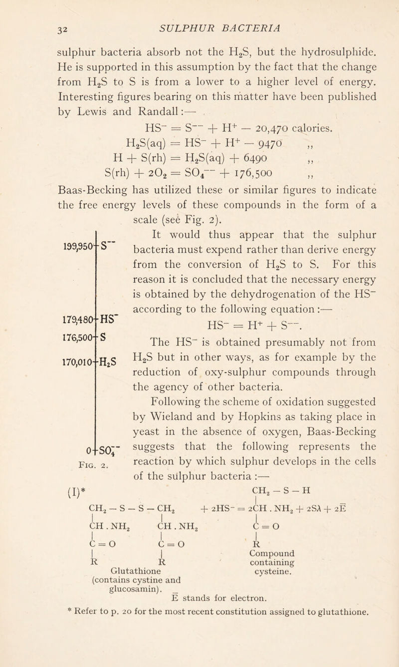 1) 199,950^-S sulphur bacteria absorb not the H2S, but the hydrosulphide. He is supported in this assumption by the fact that the change from H2S to S is from a lower to a higher level of energy. Interesting figures bearing on this matter have been published by Lewis and Randall — HS“ — S + — 20,470 calories. H2S(aq) = HS- + H+ - 9470 H + S(rh) = H2S(aq) + 6490 S(rh) + 2O2 = 304“ + 176,500 Baas-Becking has utilized these or similar figures to indicate the free energy levels of these compounds in the form of a scale (se6 Fig. 2). It would thus appear that the sulphur bacteria must expend rather than derive energy from the conversion of H2S to S. For this reason it is concluded that the necessary energy is obtained by the dehydrogenation of the HS“ according to the following equation :— HS- = H- + S—. The HS- is obtained presumably not from H2S but in other ways, as for example by the reduction of oxy-sulphur compounds through the agency of other bacteria. Following the scheme of oxidation suggested by Wieland and by Hopkins as taking place in yeast in the absence of oxygen, Baas-Becking suggests that the following represents the reaction by which sulphur develops in the cells of the sulphur bacteria :— 179,480--HS' 176,500--S 170,010-'HaS 0-1-so;' Fig. 2. (I)’ CH2 - S - H CH2 - s - s - - CH2 + 2HS- j = 2CH . NH2 + 2SA + 2E 1 I CH . NH2 j CH . NH2 1 1 c = 0 1 1 c = 0 1 c = 0 1 R 1 1 Compound R R containing Glutathione cysteine. (contains cystine and glucosamin). _ E stands for electron. Refer to p. 20 for the most recent constitution assigned to glutathione.