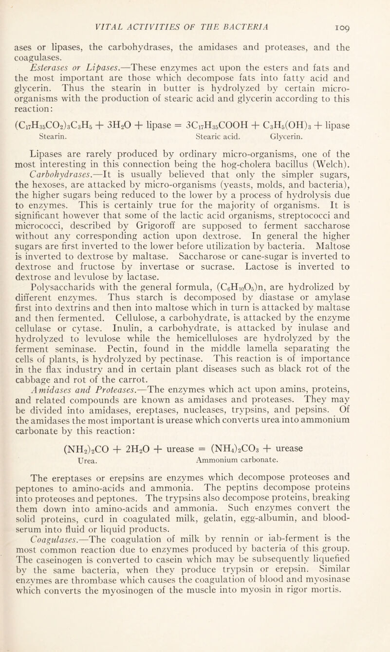 ases or lipases, the carbohydrases, the amidases and proteases, and the coagulases. Esterases or Lipases.—These enzymes act upon the esters and fats and the most important are those which decompose fats into fatty acid and glycerin. Thus the stearin in butter is hydrolyzed by certain micro- organisms with the production of stearic acid and glycerin according to this reaction: (C17H35C02)3C3H5 + 3H20 + lipase = 3C17H35COOH + C3H5(OH)3 + lipase Stearin. Stearic acid. Glycerin. Lipases are rarely produced by ordinary micro-organisms, one of the most interesting in this connection being the hog-cholera bacillus (Welch). Carbohydrases.—It is usually believed that only the simpler sugars, the hexoses, are attacked by micro-organisms (yeasts, molds, and bacteria), the higher sugars being reduced to the lower by a process of hydrolysis due to enzymes. This is certainly true for the majority of organisms. It is significant however that some of the lactic acid organisms, streptococci and micrococci, described by Grigoroff are supposed to ferment saccharose without any corresponding action upon dextrose. In general the higher sugars are first inverted to the lower before utilization by bacteria. Maltose is inverted to dextrose by maltase. Saccharose or cane-sugar is inverted to dextrose and fructose by invertase or sucrase. Lactose is inverted to dextrose and levulose by lactase. Polvsaccharids with the general formula, (C6Hi0O5)n, are hydrolized by different enzymes. Thus starch is decomposed by diastase or amylase first into dextrins and then into maltose which in turn is attacked by maltase and then fermented. Cellulose, a carbohydrate, is attacked by the enzyme cellulase or cytase. Inulin, a carbohydrate, is attacked by inulase and hydrolyzed to levulose while the hemicelluloses are hydrolyzed by the ferment seminase. Pectin, found in the middle lamella separating the cells of plants, is hydrolyzed by pectinase. This reaction is of importance in the flax industry and in certain plant diseases such as black rot of the cabbage and rot of the carrot. Amidases and Proteases.—The enzymes which act upon amins, proteins, and related compounds are known as amidases and proteases. They may be divided into amidases, ereptases, nucleases, trypsins, and pepsins. Of the amidases the most important is urease which converts urea into ammonium carbonate by this reaction: (NH2)2CO + 2H20 + urease = (NH4)2C03 + urease Urea. Ammonium carbonate. The ereptases or erepsins are enzymes which decompose proteoses and peptones to amino-acids and ammonia. The peptins decompose proteins into proteoses and peptones. The trypsins also decompose proteins, breaking them down into amino-acids and ammonia. Such enzymes convert the solid proteins, curd in coagulated milk, gelatin, egg-albumin, and blood- serum into fluid or liquid products. Coagulases.—'The coagulation of milk by rennin or lab-ferment is the most common reaction due to enzymes produced by bacteria of this group. The caseinogen is converted to casein which may be subsequently liquefied bv the same bacteria, when they produce trypsin or erepsin. Similar enzymes are thrombase which causes the coagulation of blood and myosinase which converts the myosinogen of the muscle into myosin in rigor mortis.