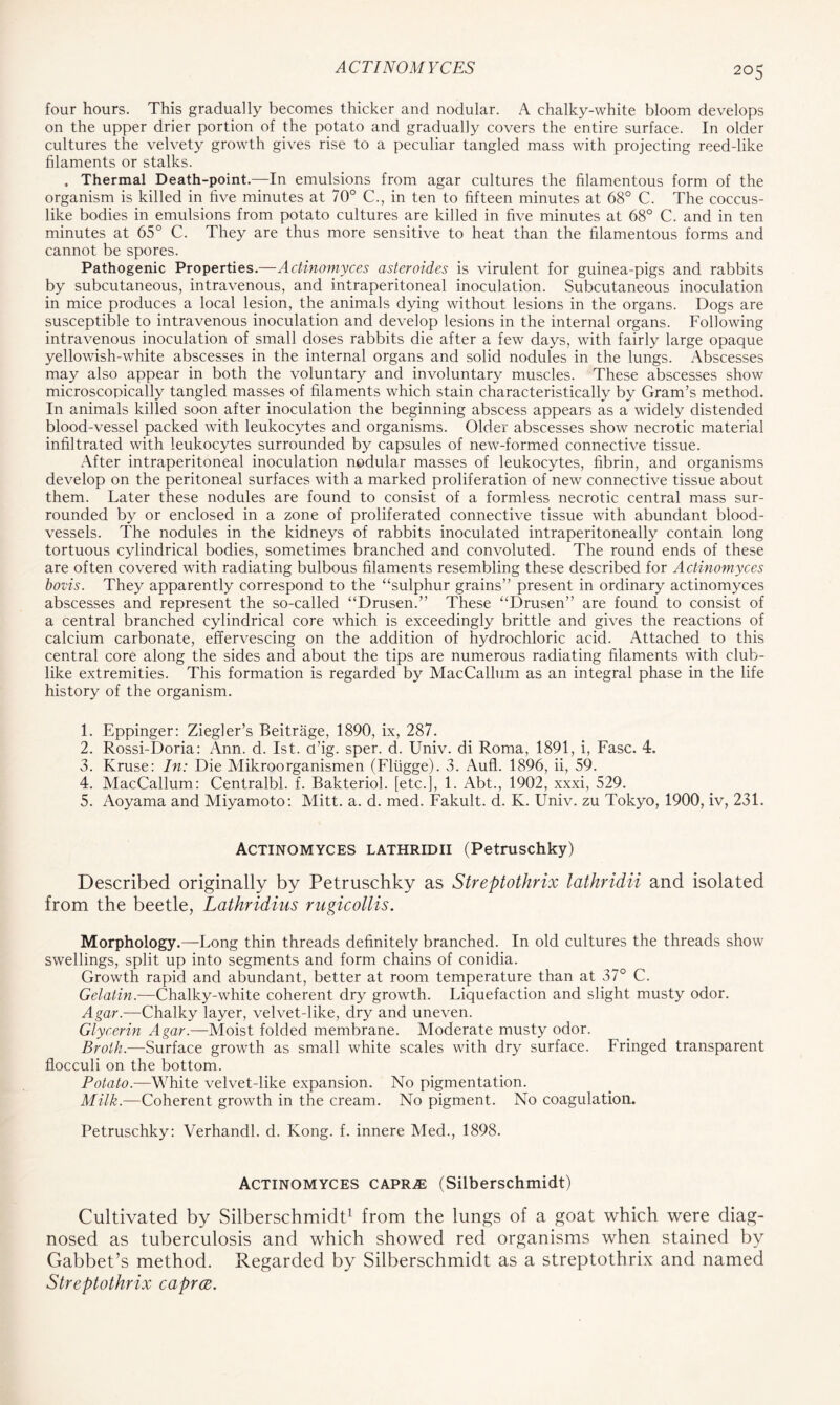 four hours. This gradually becomes thicker and nodular. A chalky-white bloom develops on the upper drier portion of the potato and gradually covers the entire surface. In older cultures the velvety growth gives rise to a peculiar tangled mass with projecting reed-like filaments or stalks. . Thermal Death-point.—In emulsions from agar cultures the filamentous form of the organism is killed in five minutes at 70° C., in ten to fifteen minutes at 68° C. The coccus- like bodies in emulsions from potato cultures are killed in five minutes at 68° C. and in ten minutes at 65° C. They are thus more sensitive to heat than the filamentous forms and cannot be spores. Pathogenic Properties.—Actinomyces aster oides is virulent for guinea-pigs and rabbits by subcutaneous, intravenous, and intraperitoneal inoculation. Subcutaneous inoculation in mice produces a local lesion, the animals dying without lesions in the organs. Dogs are susceptible to intravenous inoculation and develop lesions in the internal organs. Following intravenous inoculation of small doses rabbits die after a few days, with fairly large opaque yellowish-white abscesses in the internal organs and solid nodules in the lungs. Abscesses may also appear in both the voluntary and involuntary muscles. These abscesses show microscopically tangled masses of filaments which stain characteristically by Gram’s method. In animals killed soon after inoculation the beginning abscess appears as a widely distended blood-vessel packed with leukocytes and organisms. Older abscesses show necrotic material infiltrated with leukocytes surrounded by capsules of new-formed connective tissue. After intraperitoneal inoculation nodular masses of leukocytes, fibrin, and organisms develop on the peritoneal surfaces with a marked proliferation of new connective tissue about them. Later these nodules are found to consist of a formless necrotic central mass sur- rounded by or enclosed in a zone of proliferated connective tissue with abundant blood- vessels. The nodules in the kidneys of rabbits inoculated intraperitoneally contain long tortuous cylindrical bodies, sometimes branched and convoluted. The round ends of these are often covered with radiating bulbous filaments resembling these described for Actinomyces bovis. They apparently correspond to the “sulphur grains” present in ordinary actinomyces abscesses and represent the so-called “Drusen.” These “Drusen” are found to consist of a central branched cylindrical core which is exceedingly brittle and gives the reactions of calcium carbonate, effervescing on the addition of hydrochloric acid. Attached to this central core along the sides and about the tips are numerous radiating filaments with club- like extremities. This formation is regarded by MacCallum as an integral phase in the life history of the organism. 1. Eppinger: Ziegler’s Beitrage, 1890, ix, 287. 2. Rossi-Doria: Ann. d. 1st. q’ig. sper. d. Univ. di Roma, 1891, i, Fasc. 4. 3. Kruse: In: Die Mikroorganismen (Fltigge). 3. Aufl. 1896, ii, 59. 4. MacCallum: Centralbl. f. Bakteriol. [etc.], 1. Abt., 1902, xxxi, 529. 5. Aoyama and Miyamoto: Mitt. a. d. med. Fakult. d. K. Univ. zu Tokyo, 1900, iv, 231. Actinomyces lathridii (Petruschky) Described originally by Petruschky as Streptothrix lathridii and isolated from the beetle, Lathridius rugicollis. Morphology.—-Long thin threads definitely branched. In old cultures the threads show swellings, split up into segments and form chains of conidia. Growth rapid and abundant, better at room temperature than at 37° C. Gelatin.—Chalky-white coherent dry growth. Liquefaction and slight musty odor. Agar.—Chalky layer, velvet-like, dry and uneven. Glycerin Agar.—Moist folded membrane. Moderate musty odor. Broth.—Surface growth as small white scales with dry surface. Fringed transparent flocculi on the bottom. Potato.—White velvet-like expansion. No pigmentation. Milk.—Coherent growth in the cream. No pigment. No coagulation. Petruschky: Verhandl. d. Kong. f. innere Med., 1898. Actinomyces caprae (Silberschmidt) Cultivated by Silberschmidt1 from the lungs of a goat which were diag- nosed as tuberculosis and which showed red organisms when stained by Gabbet’s method. Regarded by Silberschmidt as a streptothrix and named Streptothrix caprce.