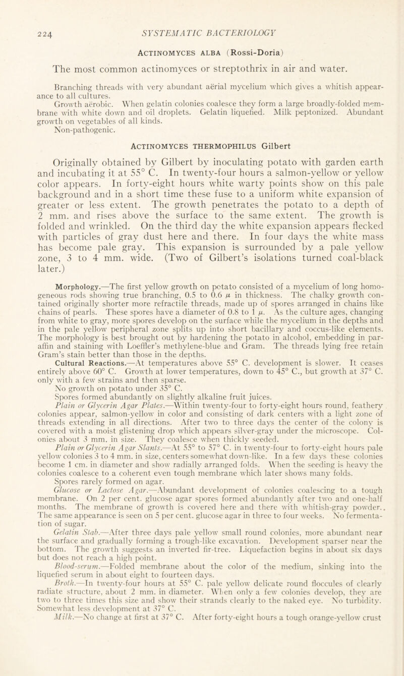 Actinomyces alba (Rossi-Doria) The most common actinomyces or streptothrix in air and water. Branching threads with very abundant aerial mycelium which gives a whitish appear- ance to all cultures. Growth aerobic. When gelatin colonies coalesce they form a large broadly-folded mem- brane with white down and oil droplets. Gelatin liquefied. Milk peptonized. Abundant growth on vegetables of all kinds. Non-pathogenic. Actinomyces thermophilus Gilbert Originally obtained by Gilbert by inoculating potato with garden earth and incubating it at 55° C. In twenty-four hours a salmon-yellow or yellow color appears. In forty-eight hours white warty points show on this pale background and in a short time these fuse to a uniform white expansion of greater or less extent. The growth penetrates the potato to a depth of 2 mm. and rises above the surface to the same extent. The growth is folded and wrinkled. On the third day the white expansion appears flecked with particles of gray dust here and there. In four days the white mass has become pale gray. This expansion is surrounded by a pale yellow zone, 3 to 4 mm. wide. (Two of Gilbert’s isolations turned coal-black later.) Morphology.—The first yellow growth on potato consisted of a mycelium of long homo- geneous rods showing true branching, 0.5 to 0.6 u in thickness. The chalky growth con- tained originally shorter more refractile threads, made up of spores arranged in chains like chains of pearls. These spores have a diameter of 0.8 to 1 yu- As the culture ages, changing from white to gray, more spores develop on the surface while the mycelium in the depths and in the pale yellow peripheral zone splits up into short bacillary and coccus-like elements. The morphology is best brought out by hardening the potato in alcohol, embedding in par- affin and staining with Loeffler’s methylene-blue and Gram. The threads lying free retain Gram’s stain better than those in the depths. Cultural Reactions.—At temperatures above 55° C. development is slower. It ceases entirely above 60° C. Growth at lower temperatures, down to 45° C., but growth at 37° C. only with a few strains and then sparse. No growth on potato under 35° C. Spores formed abundantly on slightly alkaline fruit juices. Plain or Glycerin Agar Plates.—Within twenty-four to forty-eight hours round, feathery colonies appear, salmon-yellow in color and consisting of dark centers with a light zone of threads extending in all directions. After two to three days the center of the colony is covered with a moist glistening drop which appears silver-gray under the microscope. Col- onies about 3 mm. in size. They coalesce when thickly seeded. Plain or Glycerin Agar Slants.—At 55° to 57° C. in twenty-four to forty-eight hours pale yellow colonies 3 to 4 mm. in size, centers somewhat down-like. In a few days these colonies become 1 cm. in diameter and show radially arranged folds. When the seeding is heavy the colonies coalesce to a coherent even tough membrane which later shows many folds. Spores rarely formed on agar. Glucose or Lactose Agar.—Abundant development of colonies coalescing to a tough membrane. On 2 per cent, glucose agar spores formed abundantly after two and one-half months. The membrane of growth is covered here and there with whitish-grav powder.. The same appearance is seen on 5 per cent, glucose agar in three to four weeks. No fermenta- tion of sugar. Gelatin Slab.—After three days pale yellow small round colonies, more abundant near the surface and gradually forming a trough-like excavation. Development sparser near the bottom. The growth suggests an inverted fir-tree. Liquefaction begins in about six days but does not reach a high point. Blood-serum.—Folded membrane about the color of the medium, sinking into the liquefied serum in about eight to fourteen days. Broth.—In twenty-four hours at 55° C. pale yellow delicate round floccules of clearly radiate structure, about 2 mm. in diameter. When only a few colonies develop, they are two to three times this size and show their strands clearly to the naked eye. No turbidity. Somewhat less development at 37° C. Milk.—No change at first at 37° C. After forty-eight hours a tough orange-yellow crust