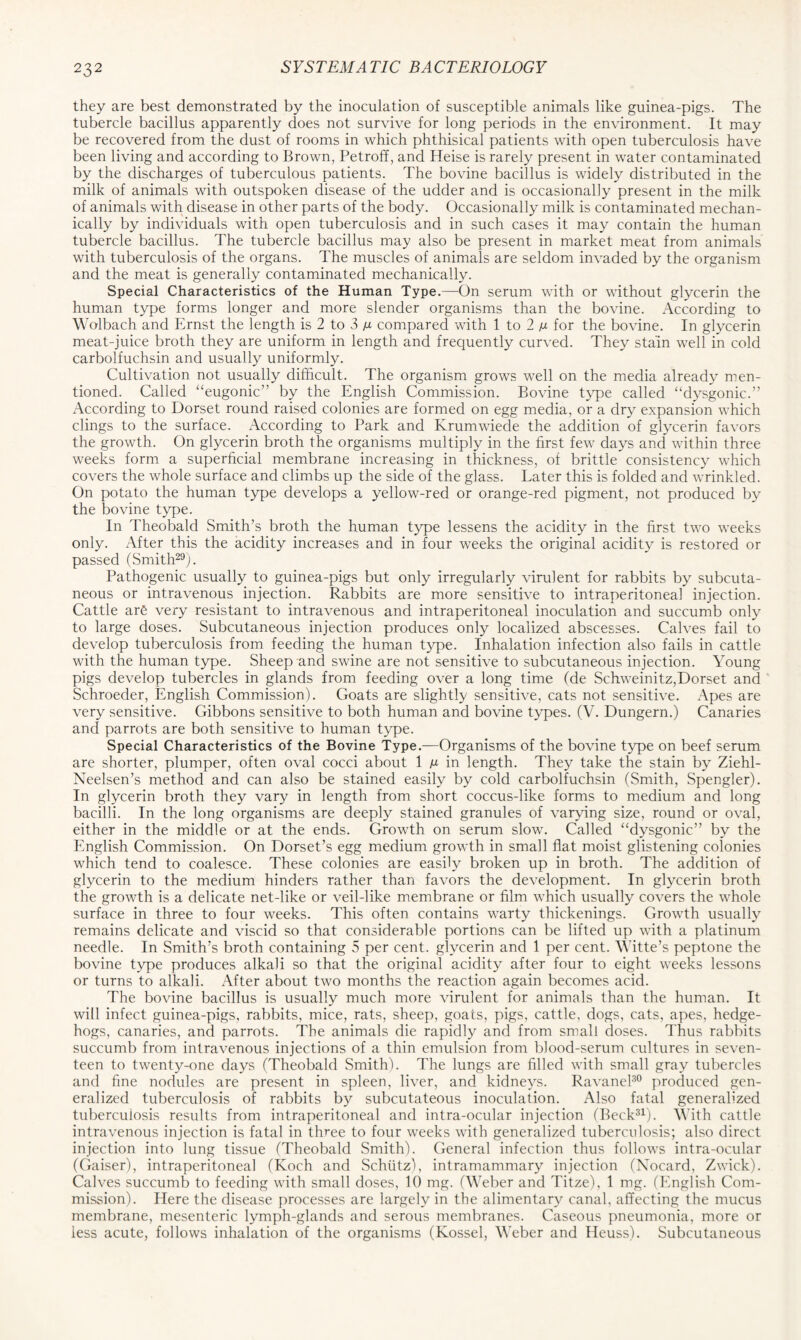 they are best demonstrated by the inoculation of susceptible animals like guinea-pigs. The tubercle bacillus apparently does not survive for long periods in the environment. It may be recovered from the dust of rooms in which phthisical patients with open tuberculosis have been living and according to Brown, Petroff, and Heise is rarely present in water contaminated by the discharges of tuberculous patients. The bovine bacillus is widely distributed in the milk of animals with outspoken disease of the udder and is occasionally present in the milk of animals with disease in other parts of the body. Occasionally milk is contaminated mechan- ically by individuals with open tuberculosis and in such cases it may contain the human tubercle bacillus. The tubercle bacillus may also be present in market meat from animals with tuberculosis of the organs. The muscles of animals are seldom invaded by the organism and the meat is generally contaminated mechanically. Special Characteristics of the Human Type.—On serum with or without glycerin the human type forms longer and more slender organisms than the bovine. According to Wolbach and Ernst the length is 2 to 3 ^ compared with 1 to 2 /x for the bovine. In glycerin meat-juice broth they are uniform in length and frequently curved. They stain well in cold carbolfuchsin and usually uniformly. Cultivation not usually difficult. The organism grows well on the media already men- tioned. Called “eugonic” by the English Commission. Bovine type called “dysgonic.” According to Dorset round raised colonies are formed on egg media, or a dry expansion which clings to the surface. According to Park and Krumwiede the addition of glycerin favors the growth. On glycerin broth the organisms multiply in the first few days and within three weeks form a superficial membrane increasing in thickness, of brittle consistency which covers the whole surface and climbs up the side of the glass. Later this is folded and wrinkled. On potato the human type develops a yellow-red or orange-red pigment, not produced by the bovine type. In Theobald Smith’s broth the human type lessens the acidity in the first two weeks only. After this the acidity increases and in four weeks the original acidity is restored or passed (Smith29). Pathogenic usually to guinea-pigs but only irregularly virulent for rabbits by subcuta- neous or intravenous injection. Rabbits are more sensitive to intraperitoneal injection. Cattle ar£ very resistant to intravenous and intraperitoneal inoculation and succumb only to large doses. Subcutaneous injection produces only localized abscesses. Calves fail to develop tuberculosis from feeding the human type. Inhalation infection also fails in cattle with the human type. Sheep and swine are not sensitive to subcutaneous injection. Young pigs develop tubercles in glands from feeding over a long time (de Schweinitz,Dorset and Schroeder, English Commission). Goats are slightly sensitive, cats not sensitive. Apes are very sensitive. Gibbons sensitive to both human and bovine types. (V. Dungern.) Canaries and parrots are both sensitive to human type. Special Characteristics of the Bovine Type.—Organisms of the bovine type on beef serum are shorter, plumper, often oval cocci about 1 m in length. They take the stain by Ziehl- Neelsen’s method and can also be stained easily by cold carbolfuchsin (Smith, Spengler). In glycerin broth they vary in length from short coccus-like forms to medium and long bacilli. In the long organisms are deeply stained granules of varying size, round or oval, either in the middle or at the ends. Growth on serum slow. Called “dysgonic” by the English Commission. On Dorset’s egg medium growth in small flat moist glistening colonies which tend to coalesce. These colonies are easily broken up in broth. The addition of glycerin to the medium hinders rather than favors the development. In glycerin broth the growth is a delicate net-like or veil-like membrane or film which usually covers the whole surface in three to four weeks. This often contains warty thickenings. Growth usually remains delicate and viscid so that considerable portions can be lifted up with a platinum needle. In Smith’s broth containing 5 per cent, glycerin and 1 per cent. Witte’s peptone the bovine type produces alkali so that the original acidity after four to eight weeks lessons or turns to alkali. After about two months the reaction again becomes acid. The bovine bacillus is usually much more virulent for animals than the human. It will infect guinea-pigs, rabbits, mice, rats, sheep, goats, pigs, cattle, dogs, cats, apes, hedge- hogs, canaries, and parrots. The animals die rapidly and from small doses. Thus rabbits succumb from intravenous injections of a thin emulsion from blood-serum cultures in seven- teen to twenty-one days (Theobald Smith). The lungs are filled with small gray tubercles and fine nodules are present in spleen, liver, and kidneys. Ravanel30 produced gen- eralized tuberculosis of rabbits by subcutateous inoculation. Also fatal generalized tuberculosis results from intraperitoneal and intra-ocular injection (Beck31). With cattle intravenous injection is fatal in three to four weeks with generalized tuberculosis; also direct injection into lung tissue (Theobald Smith). General infection thus follows intra-ocular (Gaiser), intraperitoneal (Koch and Schiitz), intramammary injection (Nocard, Zwick). Calves succumb to feeding with small doses, 10 mg. (Weber and Titze), 1 mg. (English Com- mission). Here the disease processes are largely in the alimentary canal, affecting the mucus membrane, mesenteric lymph-glands and serous membranes. Caseous pneumonia, more or less acute, follows inhalation of the organisms (Kossel, Weber and Heuss). Subcutaneous