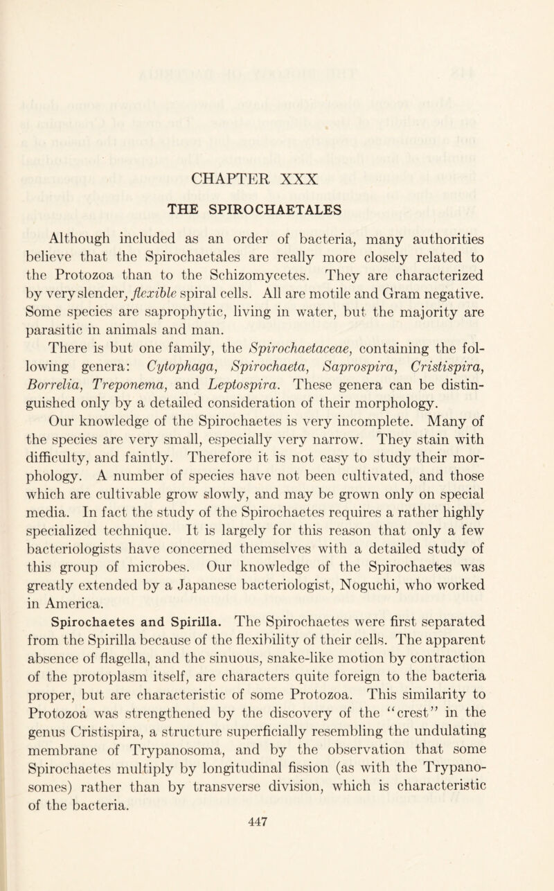 CHAPTER XXX THE SPIRO CHAETALES Although included as an order of bacteria, many authorities believe that the Spirochaetales are really more closely related to the Protozoa than to the Schizomycetes. They are characterized by very slender, flexible spiral cells. All are motile and Gram negative. Some species are saprophytic, living in water, but the majority are parasitic in animals and man. There is but one family, the Spirochaetaceae, containing the fol¬ lowing genera: Cytophaga, Spirochaeta, Saprospira, Cristispira, Borrelia, Treponema, and Leptospira. These genera can be distin¬ guished only by a detailed consideration of their morphology. Our knowledge of the Spirochaetes is very incomplete. Many of the species are very small, especially very narrow. They stain with difficulty, and faintly. Therefore it is not easy to study their mor¬ phology. A number of species have not been cultivated, and those which are cultivable grow slowly, and may be grown only on special media. In fact the study of the Spirochaetes requires a rather highly specialized technique. It is largely for this reason that only a few bacteriologists have concerned themselves with a detailed study of this group of microbes. Our knowledge of the Spirochaetes was greatly extended by a Japanese bacteriologist, Noguchi, who worked in America. Spirochaetes and Spirilla. The Spirochaetes were first separated from the Spirilla because of the flexibility of their cells. The apparent absence of flagella, and the sinuous, snake-like motion by contraction of the protoplasm itself, are characters quite foreign to the bacteria proper, but are characteristic of some Protozoa. This similarity to Protozoa was strengthened by the discovery of the “crest” in the genus Cristispira, a structure superficially resembling the undulating membrane of Trypanosoma, and by the observation that some Spirochaetes multiply by longitudinal fission (as with the Trypano¬ somes) rather than by transverse division, which is characteristic of the bacteria.