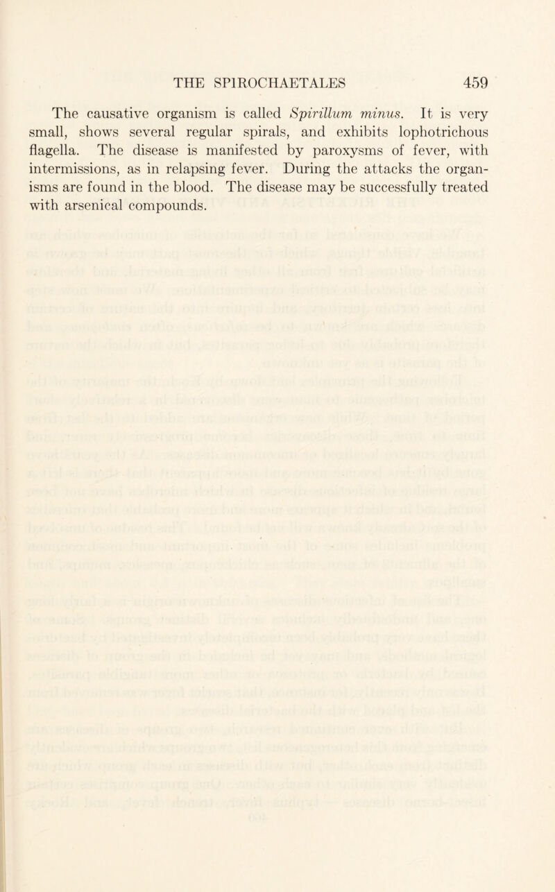 The causative organism is called Spirillum minus. It is very small, shows several regular spirals, and exhibits lophotrichous flagella. The disease is manifested by paroxysms of fever, with intermissions, as in relapsing fever. During the attacks the organ¬ isms are found in the blood. The disease may be successfully treated with arsenical compounds.