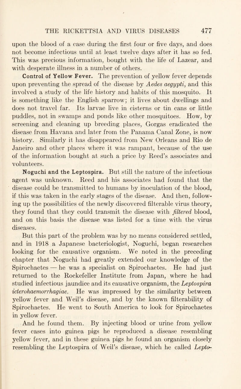 upon the blood of a case during the first four or five days, and does not become infectious until at least twelve days after it has so fed. This was precious information, bought with the life of Lazear, and with desperate illness in a number of others. Control of Yellow Fever. The prevention of yellow fever depends upon preventing the spread of the disease by Aedes aegypti, and this involved a study of the life history and habits of this mosquito. It is something like the English sparrow; it lives about dwellings and does not travel far. Its larvae live in cisterns or tin cans or little puddles, not in swamps and ponds like other mosquitoes. How, by screening and cleaning up breeding places, Gorgas eradicated the disease from Havana and later from the Panama Canal Zone, is now history. Similarly it has disappeared from New Orleans and Rio de Janeiro and other places where it was rampant, because of the use of the information bought at such a price by Reed’s associates and volunteers. Noguchi and the Leptospira. But still the nature of the infectious agent was unknown. Reed and his associates had found that the disease could be transmitted to humans by inoculation of the blood, if this was taken in the early stages of the disease. And then, follow¬ ing up the possibilities of the newly discovered filterable virus theory, they found that they could transmit the disease with filtered blood, and on this basis the disease was listed for a time with the virus diseases. But this part of the problem was by no means considered settled, and in 1918 a Japanese bacteriologist, Noguchi, began researches looking for the causative organism. We noted in the preceding chapter that Noguchi had greatly extended our knowledge of the Spirochaetes — he was a specialist on Spirochaetes. He had just returned to the Rockefeller Institute from Japan, where he had studied infectious jaundice and its causative organism, the Leptospira icterohaemorrhagiae. He was impressed by the similarity between yellow fever and Weil’s disease, and by the known filterability of Spirochaetes. He went to South America to look for Spirochaetes in yellow fever. And he found them. By injecting blood or urine from yellow fever cases into guinea pigs he reproduced a disease resembling yellow fever, and in these guinea pigs he found an organism closely resembling the Leptospira of Weil’s disease, which he called Leptch-