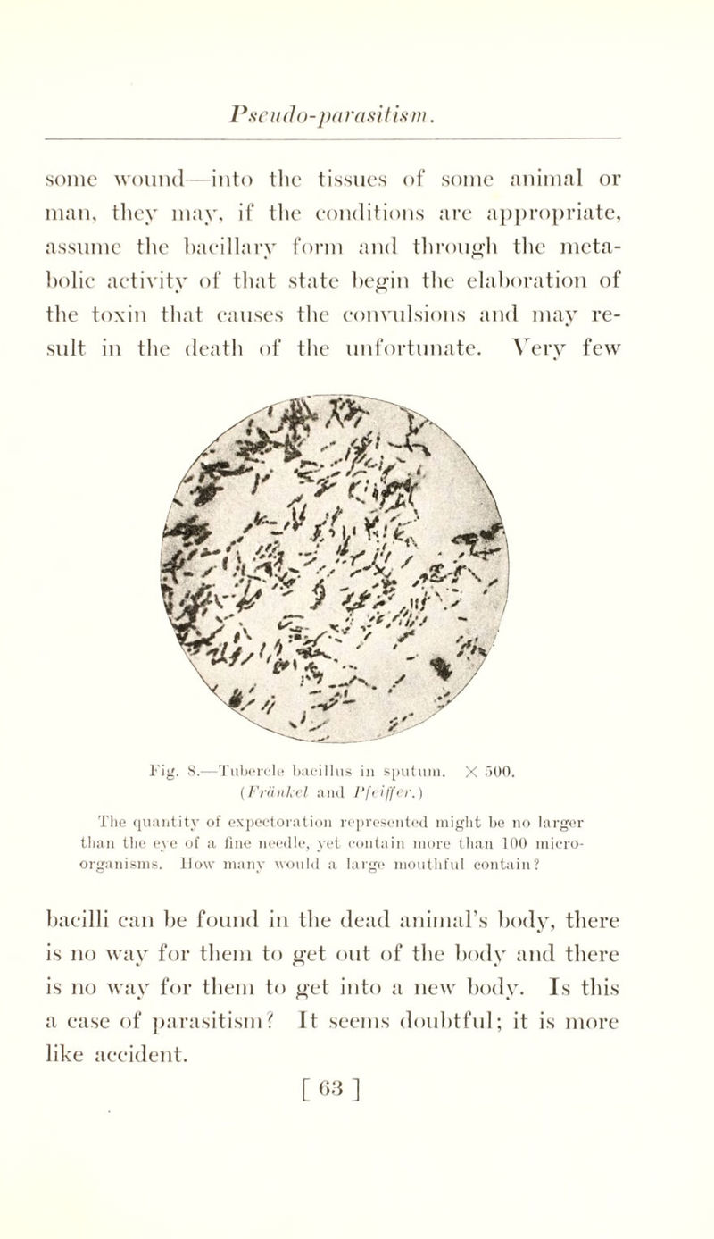 Pseudo-parasitism. some wound—into the tissues of some animal or man, they may, if the conditions are appropriate, assume the bacillary form and through the meta- bolic activity of that state begin the elaboration of the toxin that causes the convulsions and may re- sult in the death of the unfortunate. Very few The quantity of expectoration represented might be no larger than the eye of a fine needle, yet contain more than 100 micro- organisms. How many would a large mouthful contain? bacilli can be found in the dead animal’s body, there is no way for them to get out of the body and there is no way for them to get into a new body. Is this a ease of parasitism? It seems doubtful; it is more like accident.