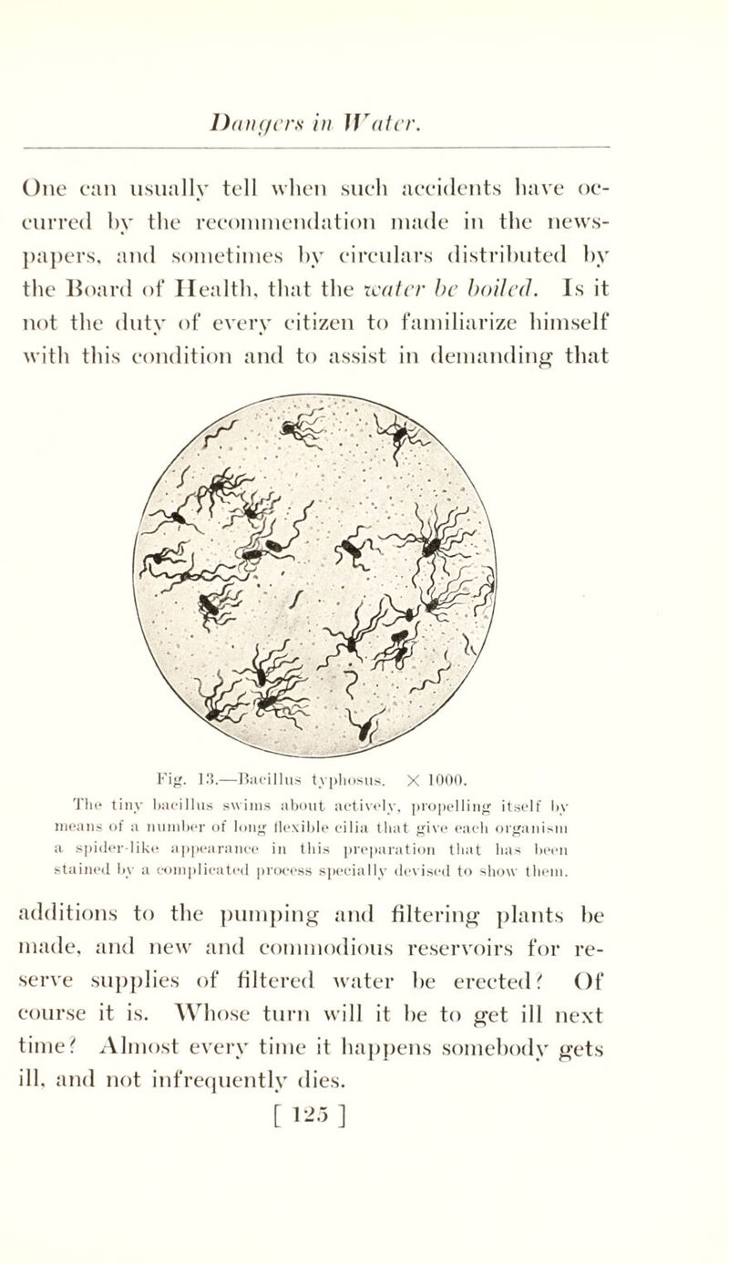 One can usually tell when such aceidents have oc- eurred by the recommendation made in the news- papers, and sometimes by circulars distributed by the Board of Health, that the rcater be boiled. Is it with this condition and to assist in demanding that Fig. 13.—Bacillus typhosus. X 1000. The tiny bacillus swims about actively, propelling itself bv means of a number of long flexible cilia that give each organism a spider-like appearance in this preparation that has been stained by a complicated process specially devised to show them. additions to the pumping and filtering plants be made, and new and commodious reservoirs for re- serve supplies of filtered water he erected? Of course it is. Whose turn will it he to get ill next time? Almost every time it happens somebody gets ill, and not infrequently dies.