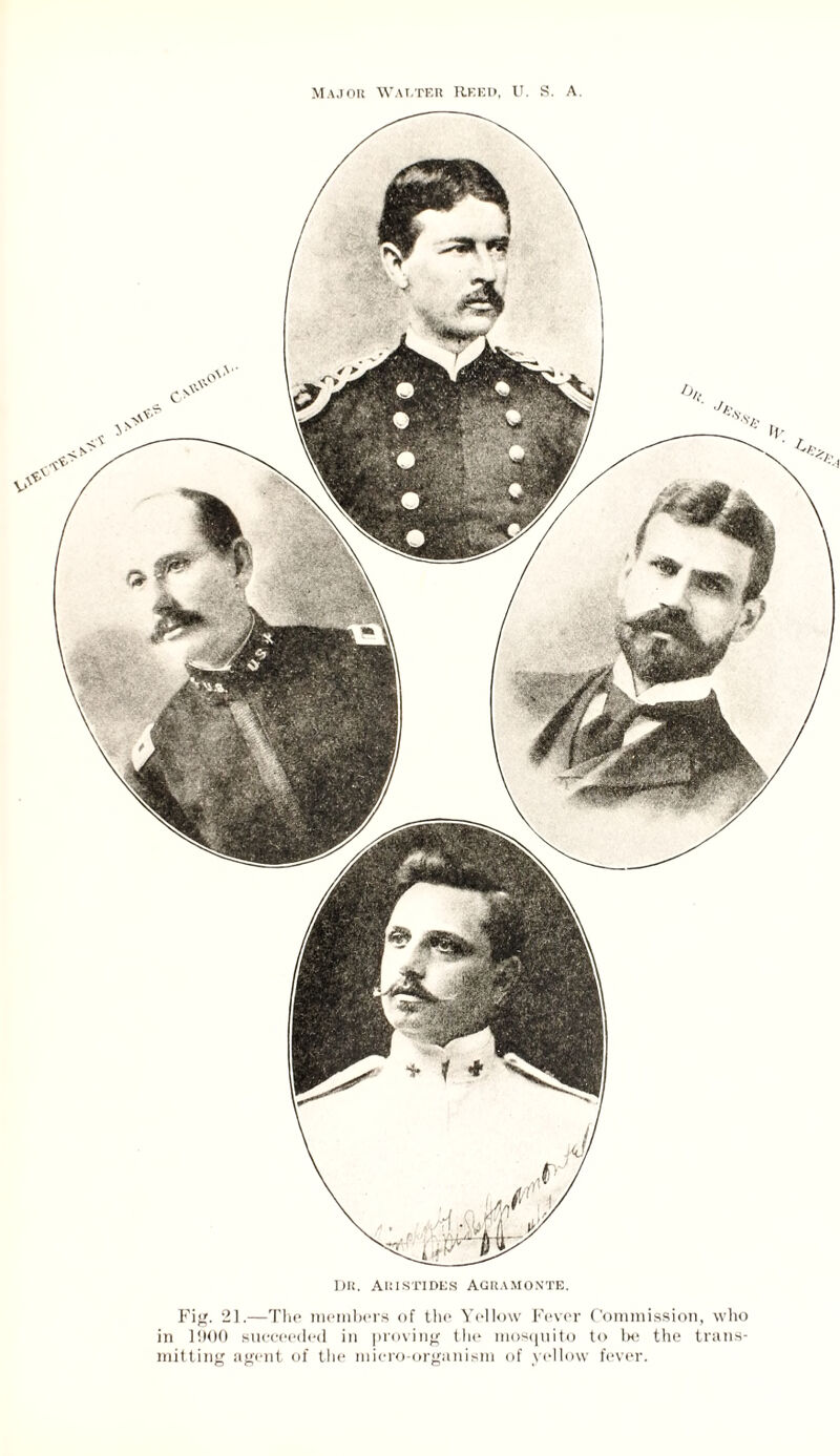 Major Walter Reed, U. S. a. Dr. Aristides Agramonte. Fig. 21.—The members of the Yellow Fever Commission, who in 1900 succeeded in proving the mosquito to be the trans- mitting agent of the micro-organism of yellow fever.
