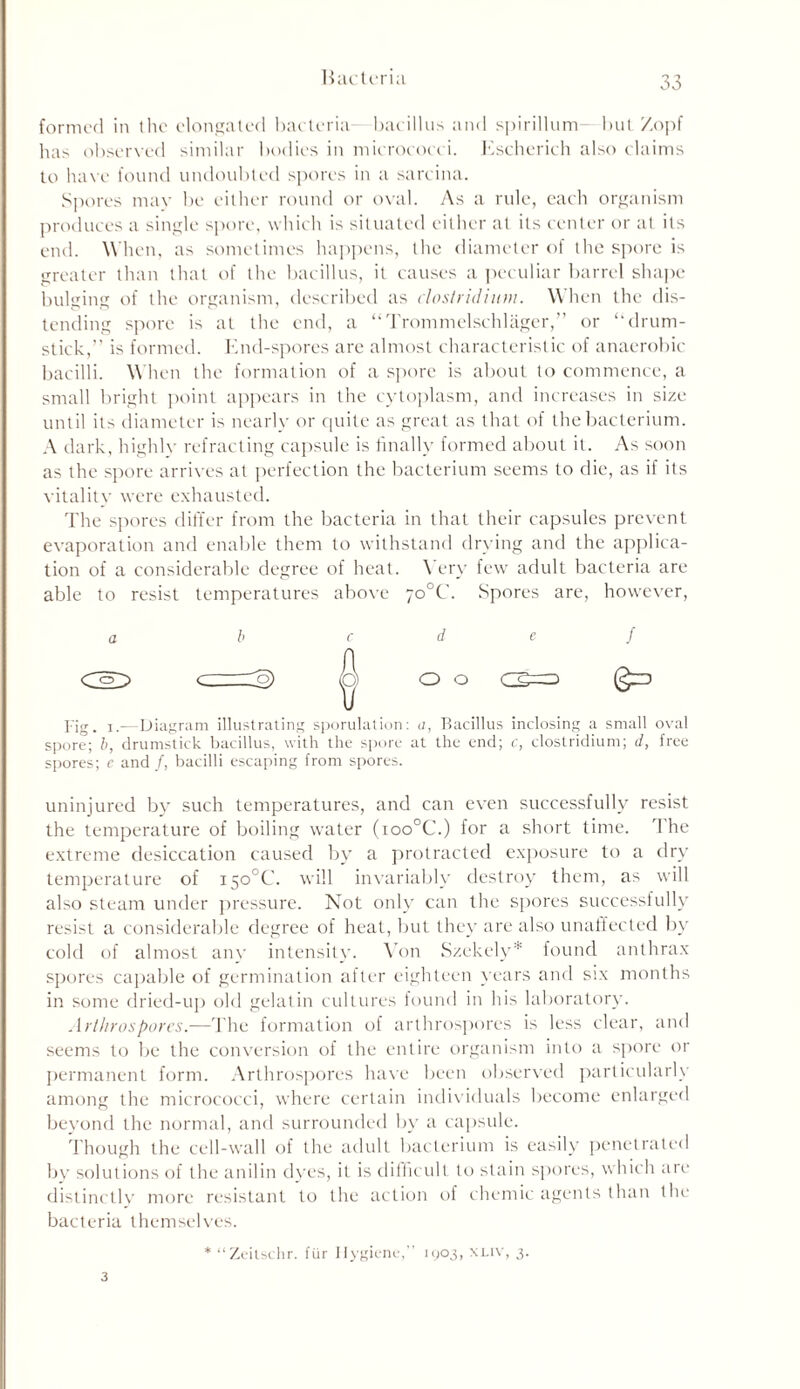 formed in the elongated bacteria- bacillus and spirillum but Zopf has observed similar bodies in micrococci. Escherich also claims to have found undoubted spores in a sarcina. Spores may be either round or oval. As a rule, each organism produces a single spore, which is situated either at its center or at its end. When, as sometimes happens, the diameter of the spore is greater than that of the bacillus, it causes a peculiar barrel shape bulging of the organism, described as dostridimn. When the dis- tending spore is at the end, a “Trommelschlager,” or “drum- stick,” is formed. End-spores are almost characteristic of anaerobic bacilli. When the formation of a spore is about to commence, a small bright point appears in the cytoplasm, and increases in size until its diameter is nearly or quite as great as that of the bacterium. A dark, highlv refracting capsule is finally formed about it. As soon as the spore arrives at perfection the bacterium seems to die, as if its vitality were exhausted. The spores differ from the bacteria in that their capsules prevent evaporation and enable them to withstand drying and the applica- tion of a considerable degree of heat. \ ery few adult bacteria are able to resist temperatures above 7o°C. Spores are, however, a b c d e f CD -q) A o o @^> Fig. i.—Diagram illustrating speculation: a, Bacillus inclosing a small oval spore; b, drumstick bacillus, with the spore at the end; c, Clostridium; d, free spores; e and/, bacilli escaping from spores. uninjured by such temperatures, and can even successfully resist the temperature of boiling water (ioo°C.) for a short time. The extreme desiccation caused by a protracted exposure to a dry temperature of i5o°C. will invariably destroy them, as will also steam under pressure. Not only can the spores successfully resist a considerable degree of heat, but they are also unaffected by cold of almost any intensity. Von Szekely* found anthrax spores capable of germination after eighteen years and six months in some dried-up old gelatin cultures found in his laboratory. Arthrospores.—The formation of arthrospores is less clear, and seems to be the conversion of the entire organism into a spore or permanent form. Arthrospores have been observed particularly among the micrococci, where certain individuals become enlarged beyond the normal, and surrounded by a capsule. Though the cell-wall of the adult bacterium is easily penetrated by solutions of the anilin dyes, it is difficult to stain spores, which are distinctly more resistant to the action of chemic agents than the bacteria themselves. * “Zeitschr. fur Hygiene, 1903, xuv, 3. 3