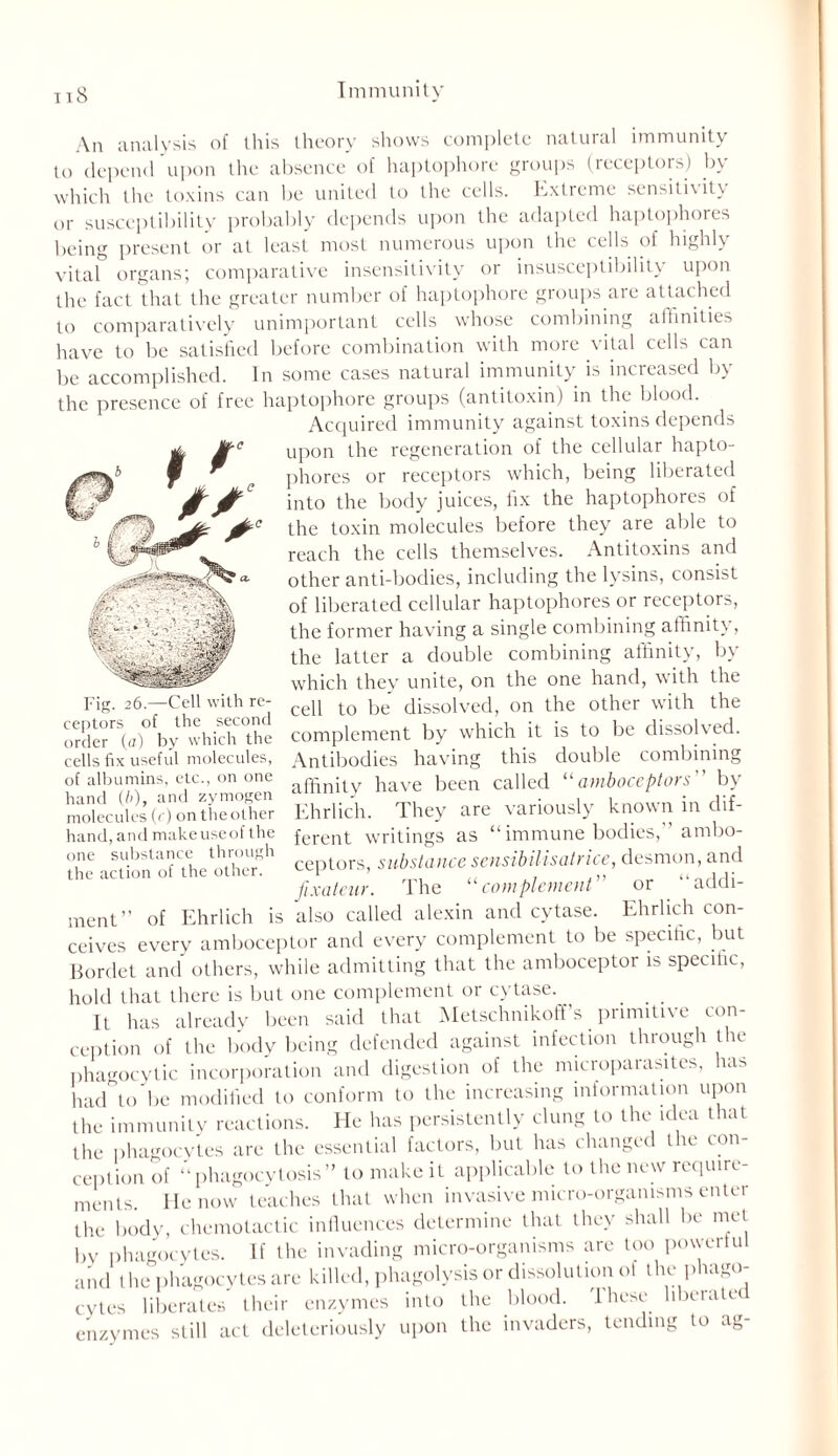 An analysis of this theory shows complete natural immunity to depend upon the absence of haptophore groups (receptors) bv which the toxins can be united to the cells. Extreme sensitivity or susceptibility probably depends upon the adapted haptophores being present or at least most numerous upon the cells of highly vital organs; comparative insensitivity or insusceptibility upon the fact that the greater number of haptophore groups are attached to comparatively unimportant cells whose combining alfinities have to be satisfied before combination with more vital cells can be accomplished. In some cases natural immunity is increased by the presence of free haptophore groups (antitoxin) in the blood. Acquired immunity against toxins depends upon the regeneration of the cellular hapto- phores or receptors which, being liberated into the body juices, fix the haptophores of the toxin molecules before they are able to reach the cells themselves. Antitoxins and other anti-bodies, including the lysins, consist of liberated cellular haptophores or receptors, the former having a single combining affinity, the latter a double combining affinity, by which they unite, on the one hand, with the Fig. 26.—Cell with re- ceptors of the second order (a) by which the cells fix useful molecules, of albumins, etc., on one hand (/>), and zymogen molecules (r) on the other hand, and make useof the one substance through the action of the other. cell to be dissolved, on the other with the complement by which it is to be dissolved. Antibodies having this double combining affinity have been called “amboceptors by Ehrlich. They are variously known in dif- ferent writings as “ immune bodies,” ambo- ceptors, substance seusibilisatmee, desmon, and fixateur. The “complement or addi- ment” of Ehrlich is also called alexin and cytase. Ehrlich con- ceives every amboceptor and every complement to be specific, but Bordet and others, while admitting that the amboceptor is specific, hold that there is but one complement or cytase. It has already been said that Metschnikoff’s primitive con- ception of the body being defended against infection through the phagocytic incorporation and digestion of the microparasites, has had to be modified to conform to the increasing information upon the immunity reactions. He has persistently clung to the idea that the phagocytes are the essential factors, but has changed the con- ception of “ phagocytosis ” to make it applicable to the new require- ments. He now teaches that when invasive micro-organisms enter the body, chemotactic influences determine that they shall be met bv phagocytes. If the invading micro-organisms are too powerful and l he phagocytes are killed, phagolysis or dissolution o! the phago- cytes liberates their enzymes into the blood. These, liberated enzymes still act deleteriously upon the invaders, tending to ag-