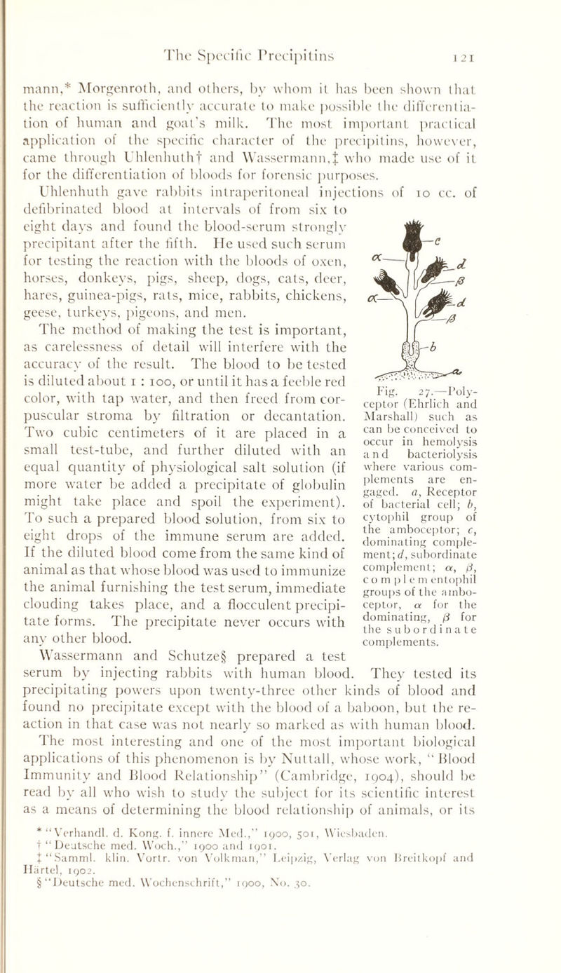 mann,* Morgenroth, and others, by whom it has been shown that the reaction is sufficiently accurate to make possible the differentia- tion of human and goat’s milk. The most important practical application of the specific character of the precipitins, however, came through Uhlenhuthf and Wassermann,| who made use of it for the differentiation of bloods for forensic purposes. Uhlenhuth gave rabbits intraperitoneal injections of to cc. of defibrinated blood at intervals of from six to eight days and found the blood-serum strongly precipitant after the fifth. He used such serum for testing the reaction with the bloods of oxen, horses, donkeys, pigs, sheep, dogs, cats, deer, hares, guinea-pigs, rats, mice, rabbits, chickens, geese, turkeys, pigeons, and men. The method of making the test is important, as carelessness of detail will interfere with the accuracy of the result. The blood to be tested is diluted about i : ioo, or until it has a feeble red color, with tap water, and then freed from cor- puscular stroma by filtration or decantation. Two cubic centimeters of it are placed in a small test-tube, and further diluted with an equal quantity of physiological salt solution (if more water be added a precipitate of globulin might take place and spoil the experiment). To such a prepared blood solution, from six to eight drops of the immune serum are added. If the diluted blood come from the same kind of animal as that whose blood was used to immunize the animal furnishing the test serum, immediate clouding takes place, and a flocculent precipi- tate forms. The precipitate never occurs with any other blood. Wassermann and Schutze§ prepared a test serum by injecting rabbits with human blood. They tested its precipitating powers upon twenty-three other kinds of blood and found no precipitate except with the blood of a baboon, but the re- action in that case was not nearly so marked as with human blood. The most interesting and one of the most important biological applications of this phenomenon is by Nuttall, whose work, ‘‘Blood Immunity and Blood Relationship” (Cambridge, IQ04), should be read by all who wish to study the subject for its scientific interest as a means of determining the blood relationship of animals, or its *“Verhandl. d. Kong. f. innerc Med.,” 1900, 501, Wiesbaden. f “Deutsche med. Woch.,” 1900 and 1901. t“Samml. klin. Vortr. von Volkman,” Leipzig, Verlag von Breitkopf and Hartel, 1902. § “Deutsche med. Wochenschrift,” 1900, No. 30. Marshall) such as can be conceived to occur in hemolysis and bacteriolysis where various com- plements are en- gaged. a, Receptor of bacterial cell; b, cytophil group of the amboceptor; c, dominating comple- ment; d, subordinate complement; a, Id, complem entophii groups of the ambo- ceptor, a for the dominating, (i for the subordinate complements.