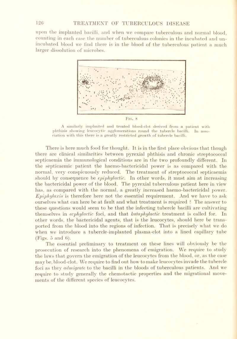 12G upon the implanted bacilli, and when we compare tuberculous and normal blood, counting in each case the number of tuberculous colonies in the incubated and un- incubated blood we find there is in the blood of the tuberculous patient a much larger dissolution of microbes. Fig. 8 A similarly implanted and treated blood-clot derived from a patient with phthisis showing leucocytic agglomerations round the tubercle bacilli. In asso- ciation with this there is a greatly restricted growth of tubercle bacilli. There is here much food for thought. It is in the first place obvious that though there are clinical similarities between pyrexial phthisis and chronic streptococcal septicaemia the immunological conditions are in the two profoundly different. In the septicaemic patient the haemo-bactericidal power is as compared with the normal, very conspicuously reduced. The treatment of streptococcal septicaemia should by consequence be epiphylactic. In other words, it must aim at increasing the bactericidal power of the blood. The pyrexial tuberculous patient here in view has, as compared with the normal, a greatly increased haemo-bactericidal power. Epiphylaxis is therefore here not the essential requirement. And we have to ask ourselves what can here be at fault and what treatment is required ? The answer to these questions would seem to be that the infecting tubercle bacilli are cultivating themselves in ecphylactic foci, and that kataphylactic treatment is called for. In other words, the bactericidal agents, that is the leucocytes, should here be trans- ported from the blood into the regions of infection. That is precisely what we do when we introduce a tubercle-implanted plasma-clot into a lined capillary tube (Figs. 5 and 6). The essential preliminary to treatment on these lines will obviously be the prosecution of research into the phenomena of emigration. We require to study the laws that govern the emigration of the leucocytes from the blood, or, as the case maybe, blood-clot. We require to find out how to make leucocytes invade the tubercle foci as they admigrate to the bacilli in the bloods of tuberculous patients. And we require to study generally the chemotactic properties and the migrational move- ments of the different species of leucocytes.