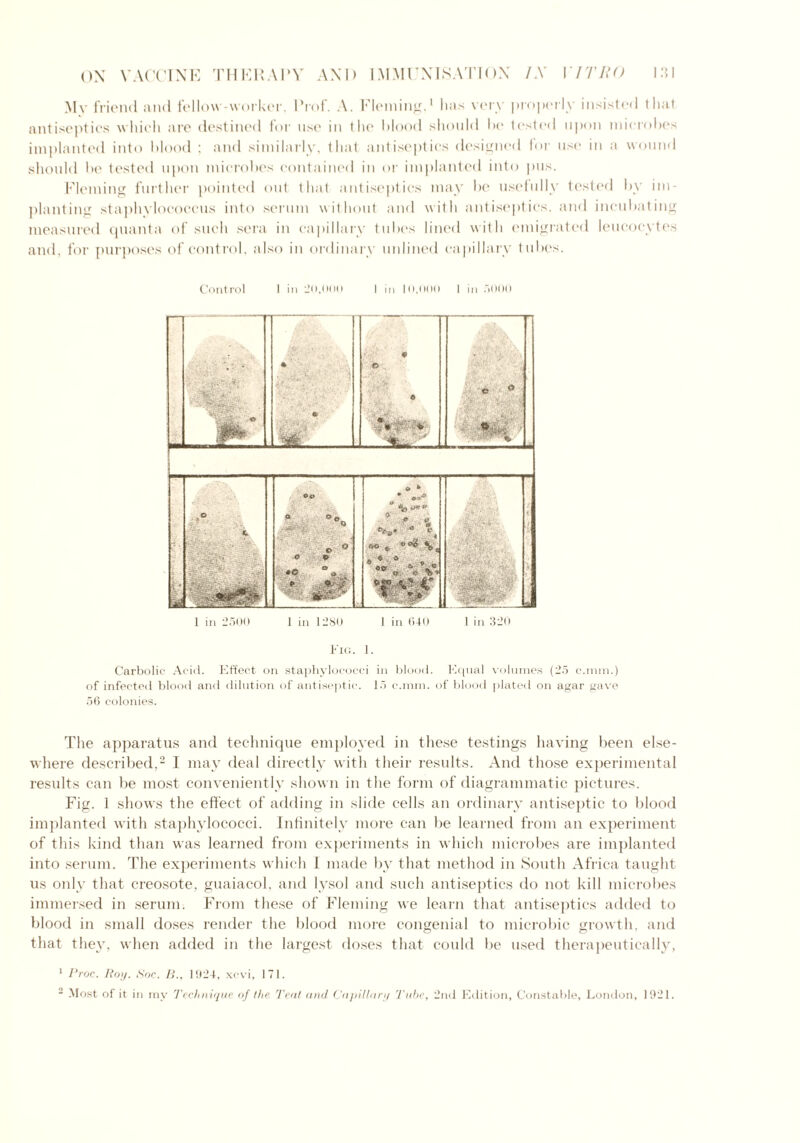 My friend and fellow-worker, Prof. A. Fleming,1 has very properly insisted that antiseptics which are destined for use in the blood should be tested upon microbes implanted into blood ; and similarly, that antiseptics designed for use in a wound should be tested upon microbes contained in or implanted into pus. Fleming further pointed out that antiseptics may be usefully tested by im- planting staphylococcus into serum without and with antiseptics, and incubating measured quanta of such sera in capillary tubes lined with emigrated leucocytes and, for purposes of control, also in ordinary unlined capillary tubes. Control 1 in 20,000 1 in 10,000 1 in 5000 V- • 9 O 6 -,W»- *i * c « ■ r - ° 7- . . '• c ■7.;■■■■'; - ■ 7 Aye . - ■ - Op ° °orv . * ° c o *o % . a ‘ U *** 9 » ft v a c, * - * * :-v- •r • . 1 in 2500 1 in 1280 1 in 640 1 in 320 Fig. 1. Carbolic Acid. Effect on staphylococci in blood. Equal volumes (25 c.mm.) of infected blood and dilution of antiseptic. 15 c.mm. of blood plated on agar gave 56 colonies. The apparatus and technique employed in these testings having been else- where described,2 I may deal directly with their results. And those experimental results can be most conveniently shown in the form of diagrammatic pictures. Fig. 1 shows the effect of adding in slide cells an ordinary antiseptic to blood implanted with staphylococci. Infinitely more can be learned from an experiment of this kind than was learned from experiments in which microbes are implanted into serum. The experiments which 1 made by that method in South Africa taught us only that creosote, guaiacol, and lysol and such antiseptics do not kill microbes immersed in serum. From these of Fleming we learn that antiseptics added to blood in small doses render the blood more congenial to microbic growth, and that they, when added in the largest doses that could be used therapeutically, 1 Proc. Roy. Soc. B., 1924, xevi, 171. 2 Most of it in my Technique of the Teat and Capillar// Tube, 2nd Edition, Constable, London, 1921.