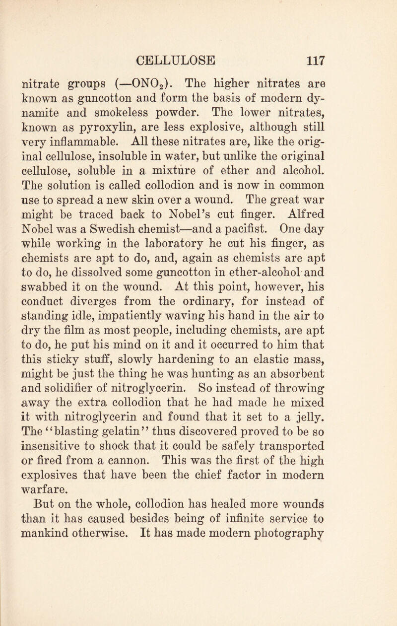 nitrate groups (—0N02). The higher nitrates are known as guncotton and form the basis of modern dy¬ namite and smokeless powder. The lower nitrates, known as pyroxylin, are less explosive, although still very inflammable. All these nitrates are, like the orig¬ inal cellulose, insoluble in water, but unlike the original cellulose, soluble in a mixture of ether and alcohol. The solution is called collodion and is now in common use to spread a new skin over a wound. The great war might be traced back to Nobel’s cut finger. Alfred Nobel was a Swedish chemist—and a pacifist. One day while working in the laboratory he cut his finger, as chemists are apt to do, and, again as chemists are apt to do, he dissolved some guncotton in ether-alcohol and swabbed it on the wound. At this point, however, his conduct diverges from the ordinary, for instead of standing idle, impatiently waving his hand in the air to dry the film as most people, including chemists, are apt to do, he put his mind on it and it occurred to him that this sticky stuff, slowly hardening to an elastic mass, might be just the thing he was hunting as an absorbent and solidifier of nitroglycerin. So instead of throwing away the extra collodion that he had made he mixed it with nitroglycerin and found that it set to a jelly. The “blasting gelatin” thus discovered proved to be so insensitive to shock that it could be safely transported or fired from a cannon. This was the first of the high explosives that have been the chief factor in modern warfare. But on the whole, collodion has healed more wounds than it has caused besides being of infinite service to mankind otherwise. It has made modern photography