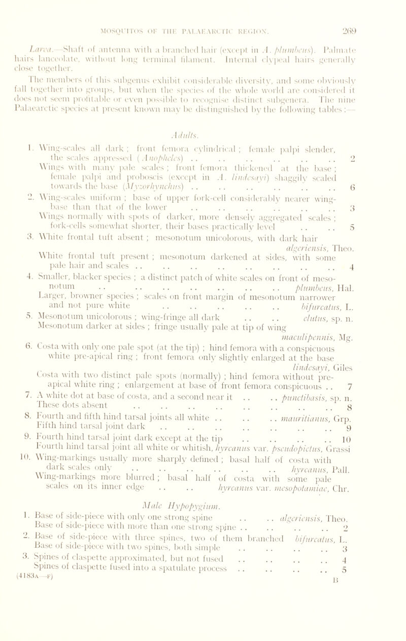 Lorvii. Shalt ol aiilouna with a hiMiiclu-d hair (cm ( pi in .1. /'>hiiiilu'iis). hahnatc hairs lama'olati'. without lour;’ terminal lilaincnt. Internal (Kpe.il haiis |^M'nerall\' close l(\r;elluM'. 1 he ineinht'rs ol this siih^tauis exhibit eoididerable di\’ersit\'. and some obvioidlv liill tom'ther into groups, hut when the species ol ih(‘ whoh' woiid aia' ci)nsidere( 1 it d('('s not seian jiidhtabK'or e\'en po^'^ible to recognise distinct sub.i^em'ra. The nim' I’alaearctic speci(,‘s at present known may In* distinguished by the following tables: .b/////,s-. 1. Wing-scales all dark; Iront lemoia c\lindrical ; leiuale palpi slender, tlu' sc'ales a|)pressed ( . h/e/>//('/i',s) .. .. .. .. .. .. 2 Wings with nian\- pale sc.lies ; front femora Ihiikoned at the base; lemale paljii .md i>roboscis (('xi'c])! in .1. /ilu/cstivi) shaggily scaled low.irds the base {Myzorliyiic/ius) .. .. .. .. . . .. (S 2. W ing-sc.iU's nnif()rm ; base' of np[)e'r fork-cell ('(insideiably nearer wing- b.tse than lh.it of the lower .. .. .. .. .. 3 Wings normallx' with sjiots of dai'ker, more densely aggiegaled scales; fork-cells somewhat shorter, their bases practically levi'l . . . . ,5 3. W’lhte frontal tuft absent ; mesonotnm nnicolorons, with dark liair (ilyci'icnsis, Theo. White front.il tnft jiresent ; mesonotnm darkened at sides, with some jrale hair and sctiles . . .. . . . . .. .. . . . . 4 4. Smaller, blacker six'cies ; a distinct jiatch of white scales on front of meso- notnm .. .. .. .. .. plit)}ihciis, Hal. l.arger, browner species ; scales on front margin of mesonotnm narrower and not jnire white bifiircatus, L. 5. .Mesonotnm nnicolorons ; wing-fringe all dark .. .. cliitii.s, sp. n. .Mesonotnm darker at sides ; fringe usually jiale at tip of wing iiiaculipi'jiiiis, iMg. b. Costa witli only one jiale spot (at the tip) ; hind femora with a conspicuous white pre-apical ring ; front lemora only slightly enlarged at the base lindesayi, (hies Costa with two distinct pale spots (normally) ; hind femora without pre- apical white ring ; enlargement at base of front femora conspicuous . . 7 /. .\ white dot at liase of costa, and a second nc'ar it .. .. piiiictihiisis, sjx n. These dots absent .. . . . . . . . . .. _ ) _ 3 b. 1 oul th and fifth hind tarsal joints all 'vvhitc' . . . . . . iiiciiii'i/iiiiius, (irp. hifth hind tarsal joint dark . . . . . . . . . . _ _ ^ 9 9. I'ourtli hind tars.il joint dark e.xcept at the tip . . . . . . . . K) Fourth hind tarsal joint all white or wdiitish, Iiyiruiiiis vav. psciidopiciiis, (Irassi lb. Wing-markings usually more sharply defined ; basal h.ilf of costa with daik scales only . . . . . . . . . . _ hyycaniis, Pall. Wing-markings more blurred; basal half of costa with some pale scales on its inner edge . . . . hyrciinus var. mcsopotamiac, Chr. Male llypupyyimu. 1. Base of side-])iece with only one strong spine . . . . algcn'ensis, Theo. IFise of side-j)iece with more than one strong spjne . . . . . . . . 2 2. l>ase of side-jiiece with three sjiiiics, two of them biMiiclu'd bifiircatus, h. Base of side-j)iece with two siiines, both sinipk' . . . . . . . _ 3 d. Siiines of claspette ajgiroximated, bill not fused .. .. .. .. 4 Spines of clasjiette lused into a spatnlate jirocess .. .. .. 5 (4i8;tA—F)