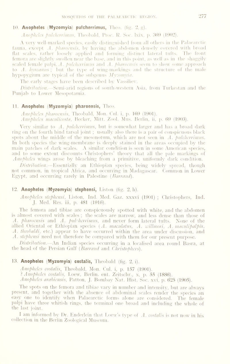 Mosonios ()|- Till': i'.\] Ai'Ai<( ik ki'c.ion. 1// 10 Anopheles (IVlyzomyiai pulcherrimus, Tln o. (iii;. 2, q). Anof^hilcs f>iiUlt('rnnuis. riu'ob.ild, I'kic. I\. Soc. I\i\, p. .'Kil-) (I90'J). A \’('iA' well inark('(l sprcic'^. (-asip- dixtiimuislicd I’roiu ,ill oIIktx in the I’alanaret ic fauna, (‘xct'jU .1. f^luirot'iisis, l)\' liaxinjj; the abdnnnn dniixcb’ (■()\ricd willi broad llat si’alt'x, ratlit'i' loosrix’ aj)|tli('d and lorinin.i;' dixtinct lalcr.d Inllx. 1 he li'oiit b'inoia art' sli^htb' swollen insir tin' base, and in this point, as well as in tlu' shajL^^^iK' sc'alt'd female palpi,.I. f->iih'lh'niii!!is and .1. /d/nmi’z/.s/.s seem to show some' ap|)i'oa( h to .1. Iivrciiinis \ but the t\'pe of winr; iuarkim;s and the stnietni'e ol the tnale h\']'o])\',r;inm are t\pieal of Ihi* s\ibL;enns M vjtiitvin. The earl\' stapn's ha\'i‘ been deseribed b\- \kisxilie\'. Pistn'hiilicDi. S('mi-arid rei,hotis of sonlh-weslern .\sia, fioni I'nrkestati and tim Punjab to Power Mesopotamia. 11 Anopheles iMyzomyia) pharoensis, lino Aiipplu'Ics pliiii'ociisis, Theobald. Mon. Cnl. i, p. Ibf) (1901). .■luol>/n’h’s uuicnUcosta, Peeker, Milt. Zook Mns. PxM'lin, ii, p. (19 (1909). \’er\' similar to .1. piilclh'rn'niiis, but i-' souK'what laia^er and hax a broad dark riipif on tlu' fourth hind tarsal joint ; nsiudly also there is a })aii' of eonsj)ienons blaek s])ots about the middU' of the mesonotnm, which are not seeti in .1. f^ulclu'n'iiiiiis. In both sjx'cies the winy-tnembrane is di'cplv staiired in the' areas oeeni)ic'<l bv tlie tnain patehc's of dark scales. similar condition is seen i]i some .American species, and to some extent discounts Thristophers’ theory tlud all tlu' ])ale markintts of Anopheles win.ys arose by ble.achinsf from a primiti\'e, nniformly dark condition. Dislribi/tioii.—P'ssentialh' an Ifthiopian species, being widely s])rea(P ihongh not common, in tropica! .Africa, and occurring in Madagasctir. ('omuKat in Lower h'gypt, and occurring rarely in Palestine [Iniyyaud). 12 Anopheles (Myzomyia) Stephens!, Liston (fig. 2, h). A}iophcIes stephensi, Liston, Ind. Aled. (Aaz. xx.xvi (1901) ; Christophers, Iiul. J. Aled. Kes. iii, p. 481 (1918). The femora and tibiae are conspicuously spotted with white, and the abdomen is almost co\-ered with scales ; the scales are narrow, and less dense than those of .1. pliayoensis and A. ptilAio-yinius. and never fornr lateral tufts. None of the allied Oriental or Ethiopian species (.4. inacuhilus, .4. iviUmoyi. A. uiacttlipalpis, A. tJieohaldi. etc.) ajrpear to have occurred within the area under discussion, and .4. stepJienst need n(,)t therefore be compared with them for our present purpose. Pislyibiififlii. - .\n Indian sjrccies occurring in a localised area round Basra, at the head of the Persian Oulf [Bayyaud and (dudsfoplieys). 13. Anopheles >Myzomyia) costalis, Theobald (lig. 2, i). Anopheles costalis, dlreobald, .Alon. Cul. i, }>. 157 (1901). ? Anopheles costalis, Loew, Berlin, ent. Zeitschr., x, p, 55 (1888). A)iopheles arat)iensis, Patton, J. Bombay Nat. Hist. Soc. xvi, p. 825 (1905). The spots on the femora and tibiae wary in number and intensity, but are always present, and together with the absenee oi abdominal scales render the species an easy one to identify when Palaearctic forms alone are considered. 44re female palpi have three whitish rings, the terminal one bnxul and iiK'lnding the whole of the last joint. I am informed by Dr. End<-rlein that Lo('w’s type of .4. costalis is not now in his collection in the Berlin Zoological Musenm.