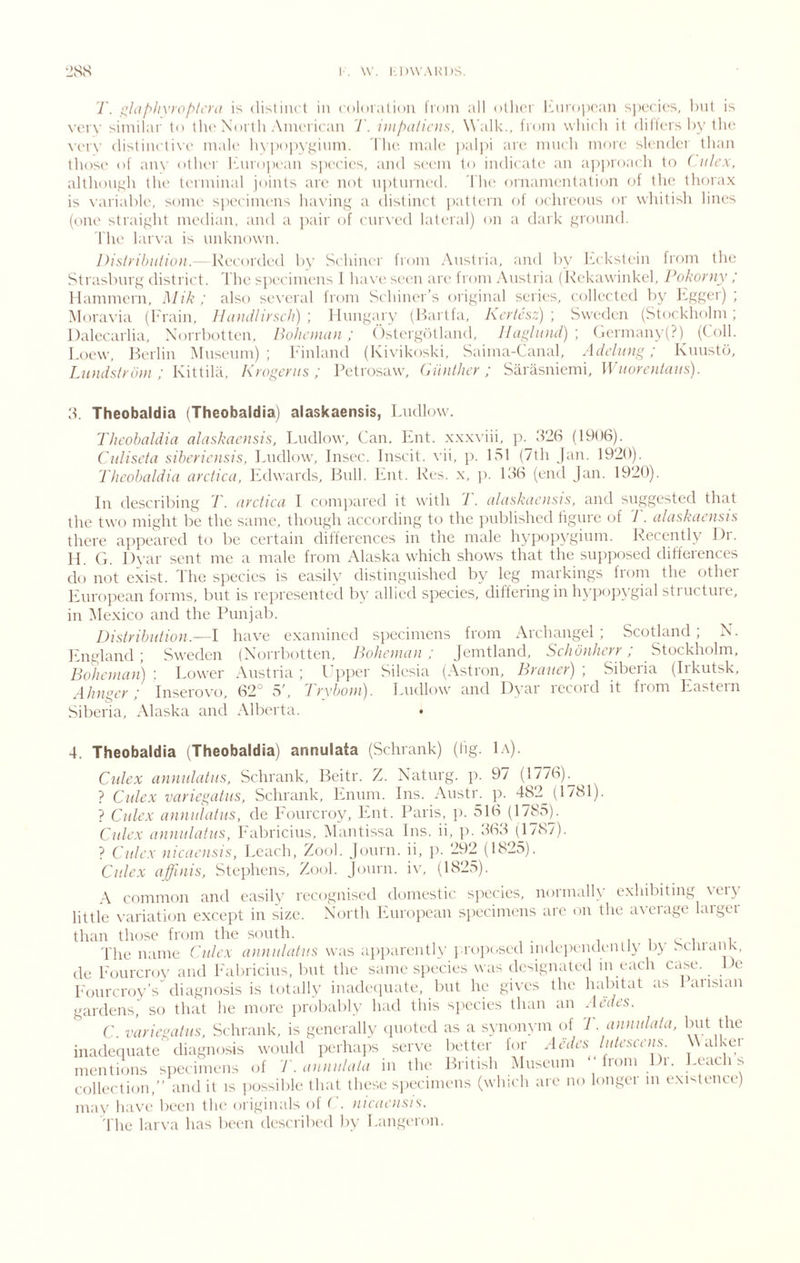 1. ^laf^livioph'i'ii is (listiiK't in ('dloraliou Iroiii all oilier I'.nropean s])eries, but is very siinilai' to tlu'North Aiueriean 7'. iiiipaliciis, Walk., I'l oin which it dillers by the very distinclixe in.iK' lu'ix'pvginni. 'I'he male paljii are inueli more slender than tliose of an\’ otluM' INiropi'an species, and seem to indicate an a])i)roaeh to ( nlcx. althonyh tlie terminal joints are not niitnrned. 'I'lu' ornamentation of the thorax is \ariable, some specimens having a distinct ixitlein of ochreons or whitish lines (one straight median, and a ])air of cnr\'ed lateral) on a dark ground. I'he larva is unknown. I)ist)'ihiitio)i.- Recorded by Schiner from .Austria, and by b.ckstein from the Strasbnrg district, d he specimens I have seen are from Austria (Rekawinkel, PoJwrjiy ; Ilammern, Mik ; also several Irom Schiner’s original series, collected by Jigger); Moravia (brain, llaudlirsich) ) linngary (Itarlfa, hcrlhz) ] Sweden (Stockholm; Dalecarlia, Xorrbotten, Bohcman ; (')stergolland, lluf^lund) ] Germany (?) (Coll. Loew, Berlin Mnsenm) ; b'inland (Ki\-ikoski, Saima-Canal, Adcliiiig; Kmistd, Lundstrom ; Kittila, Kyogcnts ; Petrosaw, (iunthcr; Sarasniemi, Wuorcnlauyi). 3. Theobaldia (Theobaldia) alaskaensis, Ludlow. Thcohaldia alaskaensis. Ludlow, Can. Knt. xxxviii, ]). 3‘l(i (1906). CuUseta sibcf'icnsis, Imdlow, Insec. Inscit. vii, p. ISl (7th Jan. 1920). Thcohaldia arctica, Etlwards, Bull. I'.nt. Res. x, j). 166 (end Jan. 1920). In describing 7'. arctica I compared it with 7 . alaskaoisis, and suggested tlrat the two might be the same, though according to the jrublished figure of 7 . alaskaensis there appeared to be certain differences in the male hypopvgium. Recently Dr. 11. G. Dyar sent me a male from Alaska which shows that the siijiirosed differences do not e.xist. The species is easily distinguished by leg markings froni the other European forms, but is represented by allied species, differing in h}'j)opygial structure, in Mexico and the Punjal). Distribution.—I have examined specimens from Archangel ; Scotland ; N. bmgland ; Sweden (Xorrbotten, Boheman ; Jemtland, Schonlterr; Stockholm. Bohenian) ; Lower Austria ; I’pper Silesia (Astron, Braiicr) ; Siberia (Iikutsk, A lingerInserovo, 62° 5, Irvboin). Ludlow and Dyar lecoid it fiom Lastein Siberia, Alaska and Alberta. • 4. Theobaldia (Theobaldia) annulata (Schrank) (lig. L\). Culcx annulatiis, Schrank, Beitr. Z. Xhaturg. p. 97 (1776)^ ? Culcx variegatus, Schrank, Enum. Ins. Austr. p. 482^ (1781). ? Culex annulatiis, de Eourcroy, Ent. Paris, ]>. 516 (1785). Culex annulatiis, Eabricius, Alantissa Ins. ii, p. 666 (J787). ? Culex nicaensis, Leach, Zool. Journ. ii, p. 292 (1825). Culcx affinis, Stephens, Zool. Journ. iv, (182r>). .A common and easily recognised domestic species, normally exhibiting \ci\ little variation except in size. North European specimens are on the aveiage laigei than those from the south. > i . c a .. r 'fhe name Culcx annulatiis was apj)arently i.ro])t-sed mdci)endenlly l)> . tluank, de Eourcroy and Eabricius, but the same species was designated m each case. De Eourcroy’s\liagno.sis is totally inadecpiate, but he giyes the lyi'^itat as 1 arisian gardens, so that he more probably had this species than an .Itato. C. variegatus, Schrank, is generally cpioted as a s\nonym (h '1. annulata, inadeciuate'^liagnosis would perhaps seryc better for AGh.s' lutcscens '' mentions siiecimens of T. annulata in the British Museum “Irom Di. Leach s collection,” and it is jiossible that these specimens (which are no longer m existence) may haye been the originals of ('. nicaensis. The larya has been described by i.angeron.