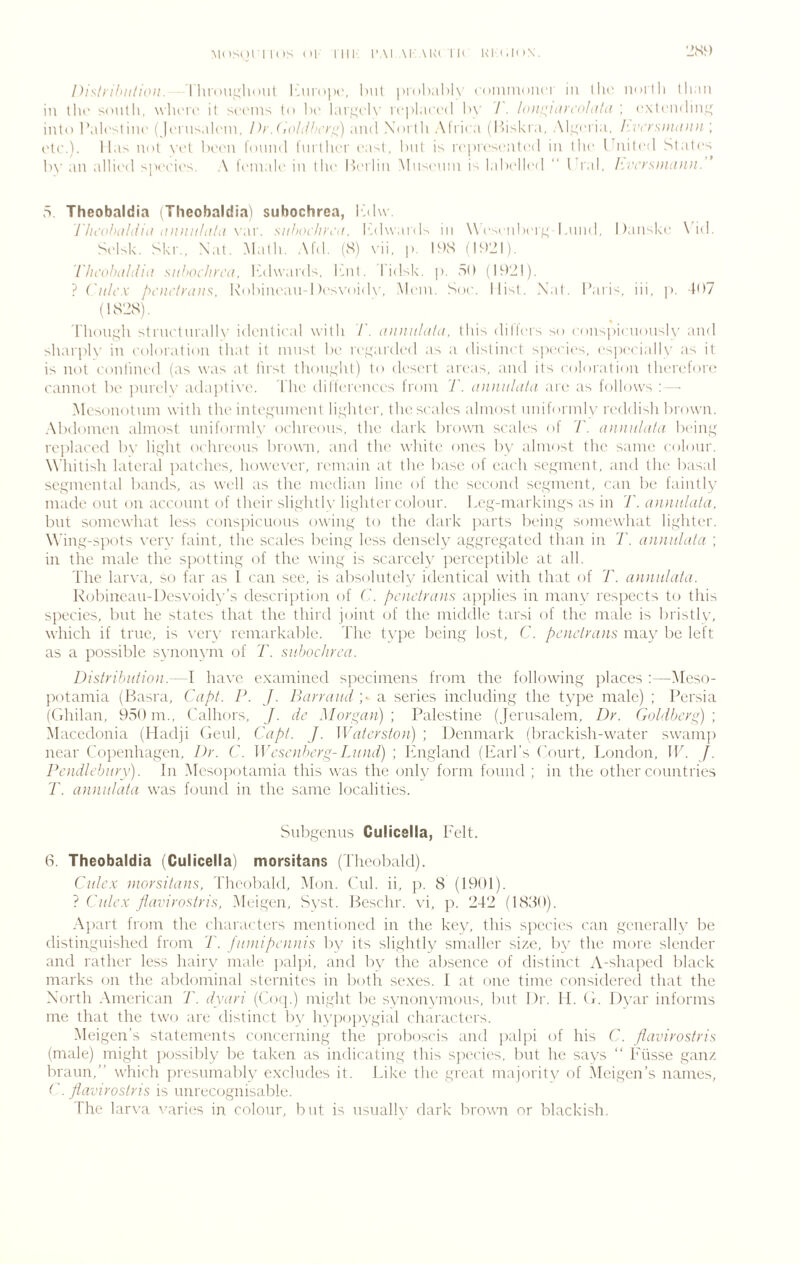 ■js^) Dishilnilioit. I Ihdu^IhuiI Imhoih', ImiI [irdbahK cniuiuoiici in llic iim lli (lian in llu' soiilli, when' it si'cius (o ba larj^rK' rcplarad 1)\’ /. /(Hh^hni'oldld ; cxtrnilm;; into l’ali'tin(' (Jci usalcin, DrJioh/ht’i'u;) .mil N'm lli Alrira (P)iskia, Al.^ci ia, Iwri'^diunin ; oti'.). lla^ not \’('l b('cn liiinid luillu'r cast, but is rcpn'scntcd in llic Ibiitcd States b\' an allied sp('('ies. A I'eniali' in the Heiiin Mnsenin is labelled  I'lal. Iii'ri'siiidiiii.'’ r>. Theobaldia (Theobaldial suhochrea, I'dw. rheohdhiid diiiitildid ww. suhochycd. l'ab\ar<ls in Wex nbei'f,' laind, l)anske \'id. Si'lsk. Skr., Nat, Math. Al'd. (S) vii, p. !^>S (lAJI), 'iJh'obdldid sithochrcd. ICdwards. knit, lidsk. j). Sb (Ib'Jl). ? (iili'X pt'iitii'diis. Knbinean I )es\'(iid\’. Mein. Soe. Nisi. Xat. Paris, iii, p. h>7 (IS'JS). rh()n,i;h strnetnralK’ identical with 7'. diniuhitd, this dilTers >(> e(in^pi( nonsK- .nid sharpK’ in coloration that it innst be rei^Mided as a distinct siieeies, espeeialp- as it is not eontined (as was at first thon,!,tht) to desiat areas, and its coloration therefori^ cannot bi' jinrely adaptix'c. 1 he dillerences Iroiu /'. diuiuhtld are as follows ;—• Mesonotnin with the inle.yninent liyditer, the scales almost nnifoi inly reddish brown. Abdoiui'n almost nniformlv ochreons, tlu' dark brown scales ol 7'. dtuuildld beiiif; replaced bv li.yht ochreons browai, and thi' white ones bv almost the same colour. Whitish lateral patches, however, nanain at the base of (‘ach se.ynuent, and the basal segmental bands, as well as the median line of the second se.gment, can be faintly made ont on account of their sli.^litK’ lighter c.olonr. heg-markin,gs as in T. annulata. but somewhat less conspicnons owing to the dark jiarts being somewhat lighter. Wing-spots very faint, the scales being less densely aggre,gated than in T. atinuldla ; in tlie male the spotting of the wing is scarcely jrcrceptible at all. The larva, so far as 1 can see, is absolutely identical with that of 7'. anMnlahi. Robiaean-lfesvoidy’s description of ('. pciuirdiis ai)])lies in many respects to this sjrecies, but he states that the third joint of the midille taisi of the male is bristly, which if true, is \’ery remarkable, d'he type being lost, C. pauirans may be left as a possible syironym of /'. sttboc/iycd. Distribution.—I have e.xamined sjrecimens from the following places :—Meso- potamia (Basra, Capt. P. J. P>ayydnd p a series including the tyjre male) ; Persia (('ihilan, 950 m., Calhors, J. dc Morgan); Palestine (Jerusalem, Dr. Goldltcrg) ; Macedonia (Hadji (.lenl, ('apt. J. Waterston) ; Denmark (brackish-water swamp near Copenhagen, Dr. C. Wcsoibcrg-Inind) ; Ifn,gland (Bari’s (V)urt, London, IP. J. Poidh’bnry). In Mesopotamia this was the only form found ; in the other countries T. annulata was found in the same localities. Siibgenus Culicella, Pelt. 6. Theobaldia (Culicella) morsitans (Theobald). Culc.'c morsitans, Theobald, Mon. (Til. ii, p. 8 (1901). ? Cnlc.x flavirostris, Meigen, Syst. Beschr. vi, p. 242 (1880). Apart from the characters mentioned in the key, this specie's can .generally be distinguished from T. fiiniipcnnis by its slightly smaller size, by the more slender and rather less hairy male palpi, and by the absence of distinct A-shaped black marks on the abdominal slernites in both sexes. I at one time considered that the North American 7'. dyari (Coip) might be svnonymons, but Dr. II. (T Dyar informs me that the two are distinct by hypoiiygial charactia's. Meigen’s statements concerning the jiroboscis and palpi of his ('. flavirostris (male) might jiossibly be taken as indicating this sjn'cies. but he says “ Phsse ganz. brann,” which presnmably excludes it. Like the great majorit\' of >Ieigen’s names, ('. flavirostris is unrecognisable. The larx’a ^^aries in colour, but is usually dark brown or blackish.