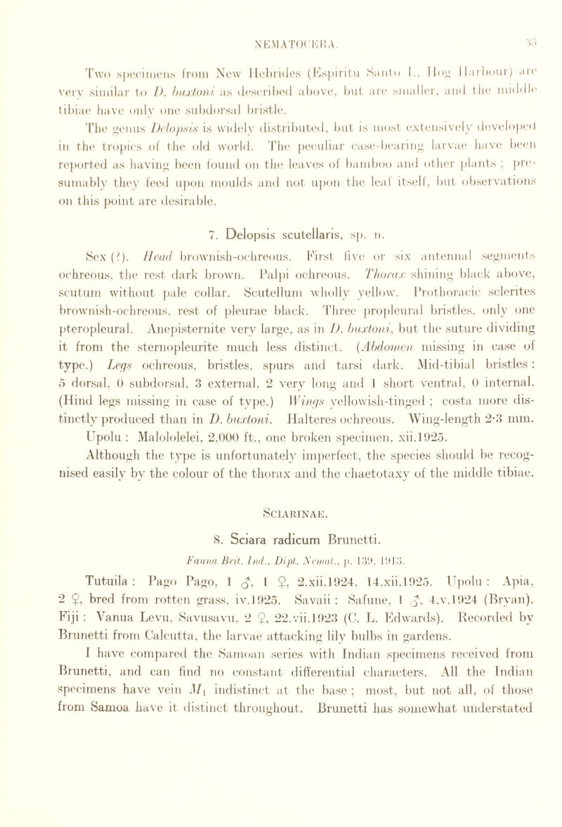 nimMAT()( ioi;A. H.'i 'Two .spcciiiieii.s from New Hebrides (l^jspirit ii Siiiito I., linn ll.irboui) are verv siiiiilai’ to I), hujioni as described above, but an* Miiallt'r, and the niidillc tibiae' have only one snbdorsal bristle. The yenns Di’lop.sis is widi'lv distributed, but is inosl. exti'iisively devclop('<l in the tro})ics of the old world, d'lu' peenliar casi'-bi'aiinn larvait have been re])orted as haviny been found on tin; h'aves ol bamboo and othi'r plants ; pri'- sninably they feed n])on nionlds and not upon the leal itsell, but obseivations on this })oint are desirable. 7. Delopsis scutellaris, sp. n. Sex {(). flrad brownish-oehreons. hdrst hvi' or six anti'iinal segments oehreons, the rest dark brown. Palpi oclireons. T/iontx shininy black above, sentnm without ])ale collar. Seaitelluni wholly yellow. Pi’othoi'aeie sclerites brownish-oehi'eons. rest of ])lenrae black, 'riiree jirojilenral liristles, only one pteroplenral. Anepisternite very large, as in J). huxtoni, but the suture dividing it from the sterno})leiLrite nincli less distinct. {Ahfio)ne)i, missing in case ol type.) Leqs oehreons, bristles, spurs and tai'si dark. Mid-tibial bristles: o dorsal, 0 snbdorsal, 3 external, 2 very long and 1 short ventral, 0 internal. (Hind legs missing in case of tyjie.) llT/y/.v yellowish-tinged ; costa more dis¬ tinctly produced than in D. buxtoni. Halteres oehreons. Wing-length 2'3 mm. Hpolu : Malololelei, 2,000 ft., one broken specimen, xii.1925. Although the ty])e is nnfortnnately imperfect, the species should be recog¬ nised easily by the colour of the thorax and the cliaetotaxy of the middle tibiae. SCIARINAE. 8. Sciara radicum Brnnetti. Fauna Bril. Ind., Dipl, Xenial., j). llll.'J. Tutuila : Pago Pago, 1 1 $, 2.xii.l924, 14.xii.l925. Upoln : Apia, 2 $, bred from rotten gi’ass, iv.l925. Savaii : Safnne, 1 J'. -l.v.1924 (Bryan). Fiji ; Vanna Levn, Savnsavu, 2 9; 22.vii.1923 (C. L. Edwai'ds). Recorded by Brnnetti from Calcutta, the larvae attacking lily bulbs in gardens. J have compared the Samoan series with Indian s])eciniens received from Brnnetti, and can find no constant ditt’erential characters. All the Indian specimens have vein d/j indistinct at the base ; most, but not all, of those from Samoa have it distinct thronghout. Brnnetti has somewhat understated