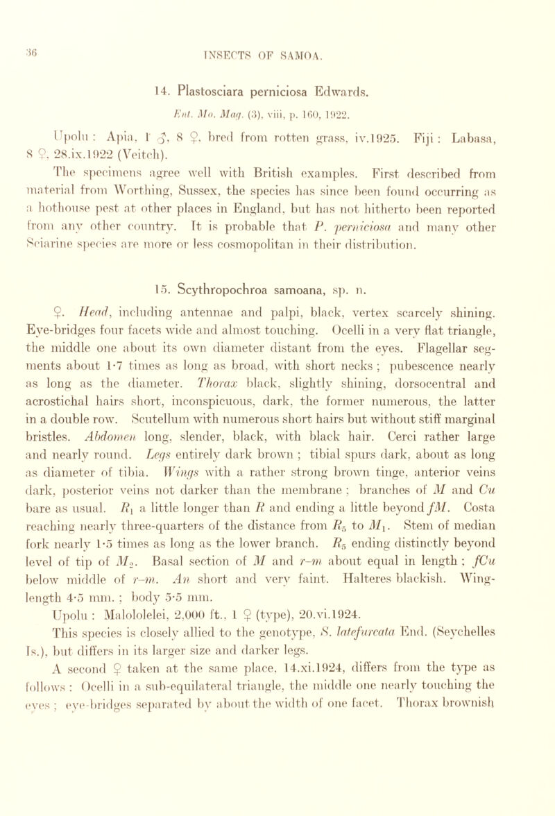 14. Plastosciara pernlclosa Edwards. Knt. Mo. Miuj. (.'5), viii, ]>. 160, l'.)22. llpoln : Apia, 1' q, 8 $. })red from rotten <>:rass, iv.l925. Fiji: Labasa, S 9. 28.ix.l9‘22 (Voiteli). The s])ceimens a,(?ree well with British examples. First described from material from A\ orthin, Sussex, the species has since been fomid occurring as :i hothouse pest at other places in England, but has not hitherto been reported trom any other country. Tt is probable that P. perinciom and many other Sciaritie species are more or less cosmopolitan in their distribution. 15. Scythropochroa samoana, s]). n. 9- Head, including antennae and palpi, black, vertex scarcely shining. Eye-bridges four facets wide and almost touching. Ocelli in a very flat triangle, the middle one about its own diameter distant from the eyes. Flagellar seg¬ ments about 1-7 times as long as broad, with short necks ; pubescence nearly as long as the diameter. Thorax black, slightly shining, dorsocentral and acrostichal hairs short, inconspicuous, dark, the former numerous, the latter in a double row. Scutellum with numerous short hairs but without stiff marginal bristles. Abdomen long, slender, black, with black hair. Cerci rather large and nearly round. Legs entirely dark brown ; tibia! spurs dark, about as long as diameter of tibia. Wings with a rather strong brown tinge, anterior veins dark, })Osterior veins not darker than the membrane ; branches of M and Cu bare as usual. Ri a little longer than R and ending a little beyond/d/. Costa reaching nearly three-quarters of the distance from Rr, to ilii. Stem of median fork nearly l-o times as long as the lower branch. Rr, ending distinctly beyond level of tip of il/o. Basal section of M and r-m about equal in length ; fCu below middle of r-m. An short and very faint. Halteres blackish. Wing- length 4-5 mm. ; body 5-5 mm. Upolu : Malololelei, 2,000 ft., I $ (type), 20.vi.l924. This species is closely allied to the genotype, S. latefureata hhid. (Seychelles Is.), l)ut differs in its larger size and darker legs. A second 9 t^-ken at the same place, 14.xi.l924, differs from the type as follows : Ocelli in a sub-equilateral triangle, the middle one nearly touching the ev(‘s : ev(‘-bridg('s s(‘])arated bv about the width of one facet. Thorax brownish