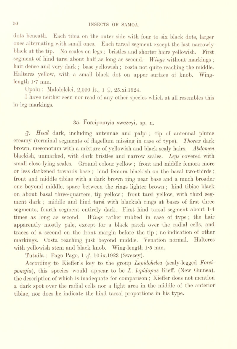 dots bciieiitli. Each til)ia on the outer side witli foiu- to six black dots, larger ones alternating with small ones. h]ach tarsal segment cxce2)t the last narrowly black at the tip. No scales on legs ; bristles and shorter hairs yellowish. First segment of hind tarsi about half as long as second. Witujs without markings ; hair dense and very dark ; base }’ellowish ; costa not quite reaching the middle. Haltercs yellow, with a small black dot on iq)per surface of knob. Wing- length 1-7 mm. Upolu : Malololelei, 2,000 ft., 1 $, 25.xi.1924. I have neither seen nor read of any other species which at all resembles this in leg-markings. 35. Forcipomyia swezeyl, sp. n. (J. Head dark, including antennae and palpi; tip of antennal plume creamy (terminal segments of flagellum missing in case of type). Thorax dark brown, mesonotum with a mixture of yellowish and black scaly hairs. Abdomen blackish, unmarked, with dark bristles and narrow scales. Legs covered with small close-hung scales. Ground coloiu' yellow ; front and middle femora more or less darkened towards base ; hind femora blackish on the basal two-thirds ; front and middle tibiae with a dark brown ring near base and a much broader one beyond middle, space between the rings lighter brown ; hind tibiae black on about basal tliree-quarters, tip yellow ; front tarsi yellow, with third seg¬ ment dark ; middle and hind tarsi with blackish rings at bases of first three segments, fourth segment entirely dark. First hind tarsal segment about 1-4 times as long as second. Wings rather rubbed in case of type ; the hair apparently mostly pale, exce2)t for a black patch over the radial cells, and traces of a second on the front margin before the tijD ; no indication of other markings. Costa reaching just beyond middle. Venation normal. Halteres with yellowish stem and black knob. Wing-length 1-5 mm. Tutuila : Pago Pago, 1 10.ix.l923 (Swezey). According to Kieft’er's key to the group Lepidohelea (scaly-legged Forci¬ pomyia), this species would appear to be L. lepidopus Kieff. (New Guinea), the description of which is inadequate for comparison ; Kiefier does not mention a dark spot over the radial cells nor a liglit area in the middle of the anterior tibiae, nor does he indicate the hind tarsal proportions in his type.
