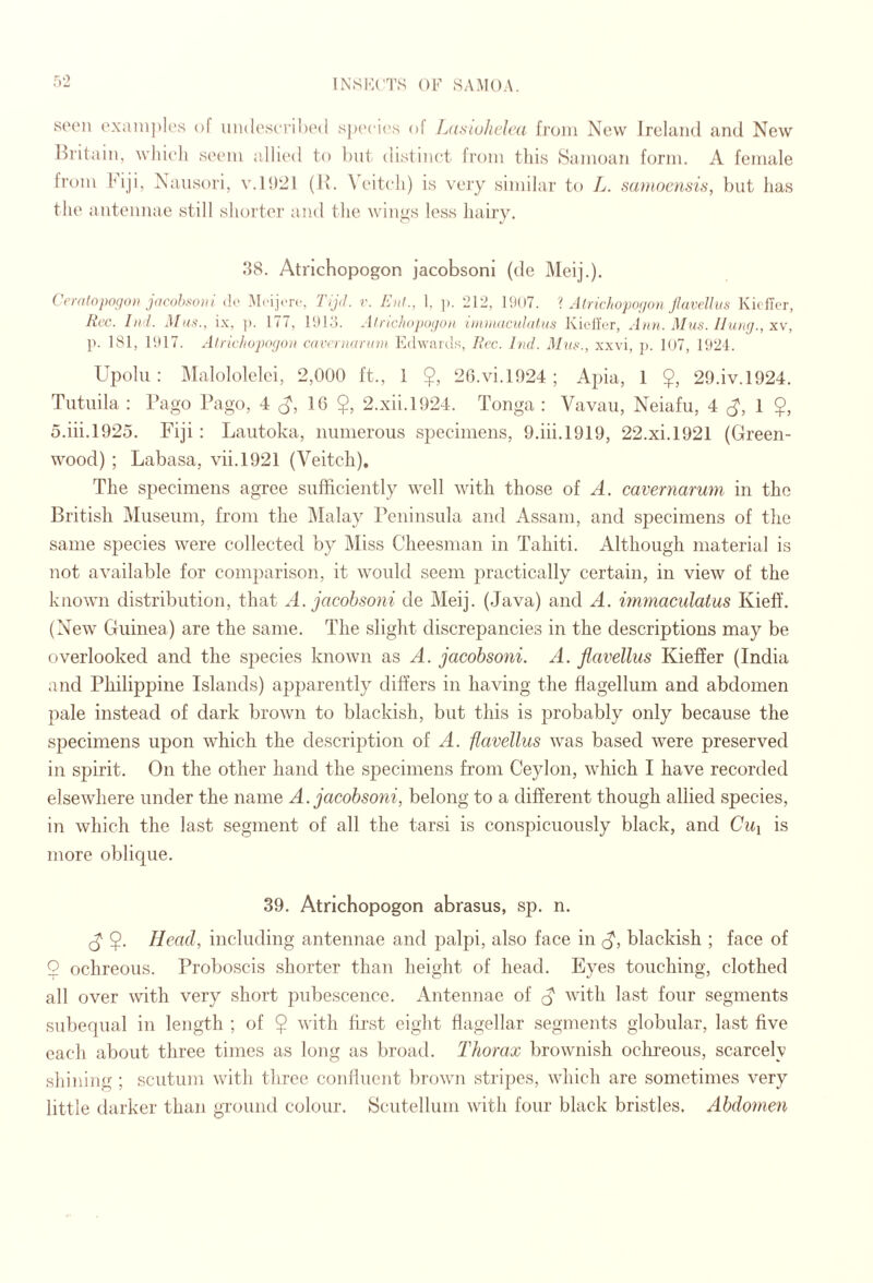 soon oxanij)Ies of uiulosci’ihod sjx'cit's of Ldsiuhclcd from New Ireland and New I^ritain, wliieli seem allied to but distinct from this Samoan form. A female from Idji, Nansori, v.1921 (R. W'itcli) is very similar to L. sdmomsis, })ut has the antennae still shoider and the wings less hairy. .‘}8. Atnchopogon jacobsonl (de Meij.). Ccralopofjoi} jacohso)ii dc Mcijcrc, 'lijd. v. Liil., 1, ]). 212, l‘J()7. '{ Atrichopmion Jlavelliis KietTcr, Rcc. Iti'l. Jta.s'., ix, ]). 177, IDl.'). Alnchnpo;jon iiiuitdcuhilKs Kiell'er, Ann. Mus. Hung., xv, p. 181, 11»17. Alricliopogon ad'oitanini Edwards, Rcc. Ind. 31vi^., xxvi, p. 107, 1924. Upolu : ]\Ialololelci, 2,000 ft., 1 26.vi.1924 ; Apia, 1 $, 29.iv.1924. Tiitiiila : Pago Pago, 4 16 $, 2.xii.l924. Tonga : Vavau, Neiafu, 4 1 $, o.iii.l92o. Fiji : Laiitoka, numerous specimens, 9.iii.l919, 22.xi.1921 (Green¬ wood) ; Labasa, vii.1921 (Veitch), The specimens agree sufficiently well with those of A. cavernarum in the British Museum, from the IMalay Peninsula and Assam, and specimens of the same species were collected by Miss Cheesman in Tahiti. Although material is not available for comparison, it would seem practically certain, in view of the known distribution, that A. jdcohsoni de Meij. (Java) and A. nnmaculatus Kieff. (New Guinea) are the same. The slight discrepancies in the descriptions may be overlooked and the species known as A. jacobsoni. A. fidvellus Kieffer (India .ind Philippine Islands) apj^arently differs in having the flagellum and abdomen pale instead of dark brown to blackish, but this is probably only because the specimens upon which the description of A. flavellus was based were preserved in spirit. On the other hand the specimens from Ceylon, which I have recorded elsewhere under the name A.jdcobsoni, belong to a different though allied species, in which the last segment of all the tarsi is conspicuously black, and Cui is more oblique. 39. Atrichopogon abrasus, sp. n. $. Head, including antennae and palpi, also face in G', blackish ; face of 9 ochreous. Proboscis shorter than height of head. Eyes touching, clothed all over with very short pubescence. Antennae of ''vith last four segments subequal in length ; of $ with first eight flagellar segments globular, last five each about three times as long as broad. Thorax brownish oclneous, scarcely shining ; scutum with three confluent brown stripes, which are sometimes very little darker than ground colour. Scutellum with four black bristles. Abdomen