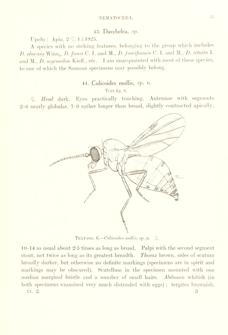 nhmato('i:i:a. Dasyhelea, sp. l'])olu : Apia.‘2 9- l i-l!l2r). A spi'cies with no stiikitiu' foatui'os, holoiiLiinu to tin* ;/i'oup which includes D. ohsciu'd AViniij, /). fused ('. I. and M., /). fdsriformis (\ I. and .M., D. relorfd i. and M.. 1). iiiifriHeddH l\ietT.. etc. I am unaccpiainted with most of these sjX'cies, to one of whicli the Samoan s|)ecimens may |)ossihly l)elonc. 44. Culicoides mollis, sp. n. 'I’cxt-iip. (■). 9. flead dark. Kves practically toncliin,^. Antennae with segments 2-() nearly globular, 7-!) rather longer than liroad, sliglitly contracted apuailly, 10-14 as usual about 2-5 times as long as broad. Palpi witli the second segment stout, not twice as long as its greatest breadth. Thorax bi'own, sides of scutum broadly darker, but otherwise no definite markings (specimens are in spirit and markings may be obscured). Scutellum in the s])ecinien mounted with one median marginal bristle and a number of small hairs. Ahdotnot whitish (in both specimens examined very much distended with eggs) ; tergites brownish. VI. 2. ♦> <>