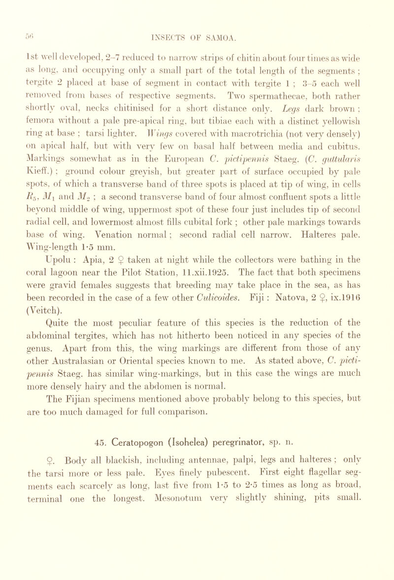 1st well developed, 2-7 reduced to nai i’ow stri])s of cliitiii about four times as wide as louo'. and occupyiug' only a small ])art of tlie total leu^tli of tlie segments ; tergite 2 {)laced at base of segment in contact with tergite 1 ; M-5 eacli well removed Irom bases of I'espective segments. Two s})erniathecae, both rather shortly oval, necks chitinised for a short flistance only. Lcfjs dark brown ; femora without a ])ale pre-a])ical ring, })ut tibiae each with a distinct yellowish ring at base : tarsi fighter. IFiar/s covered with macrotrichia (not very densely) on apical half, but with very few on basal half between media and cubitus. Mai 'kings somewhat as in the European C. jnctipennis Staeg. {C. ffidtularis Kieff.) ; ground colour greyish, but greater part of surface occupied by pale spots, of which a transverse band of three sjjots is placed at tip of wing, in cells /4, d/i and d/._> ; a second transverse band of four almost confluent sjjots a little beyond middle of wing, uppermost spot of these four just includes tip of second radial cell, and lowermost almost fills cubital fork ; other pale markings towards base of wing. Venation normal ; second radial cell narrow. Halteres pale. Wing-length 1*5 mm. Upolu : Apia, 2 $ taken at night while the collectors were bathing in the coral lagoon near the Pilot Station, ll.xii.l925. The fact that both specimens were gravid females suggests that breeding may take j^lace in the sea, as has been recorded in the case of a few other Culicoides. Fiji: Natova, 2 $, ix.l916 (Veitch). Quite the most peculiar feature of this species is the reduction of the abdominal tergites, which has not hitherto been noticed in any species of the genus. Apart from this, the wing markings are different from those of any other Australasian or Oriental species known to me. As stated above, C. picti- pemiis Staeg. has similar wing-markings, but in this case the wings are much more densely liaii'y and the abdomen is normal. The Fijian specimens mentioned above probably belong to this species, but are too much damaged for full comparison. 45. Ceratopogon (Isohelea) peregnnator, sp. n. $. Body all blackish, including antennae, palpi, legs and halteres ; only the tarsi more or less ])ale. Eyes finely pubescent. First eight flagellar seg¬ ments each scarcely as long, last five from 1-5 to 2-5 times as long as broad, terminal one the longest. Mesonotum very slightly shining, pits small.