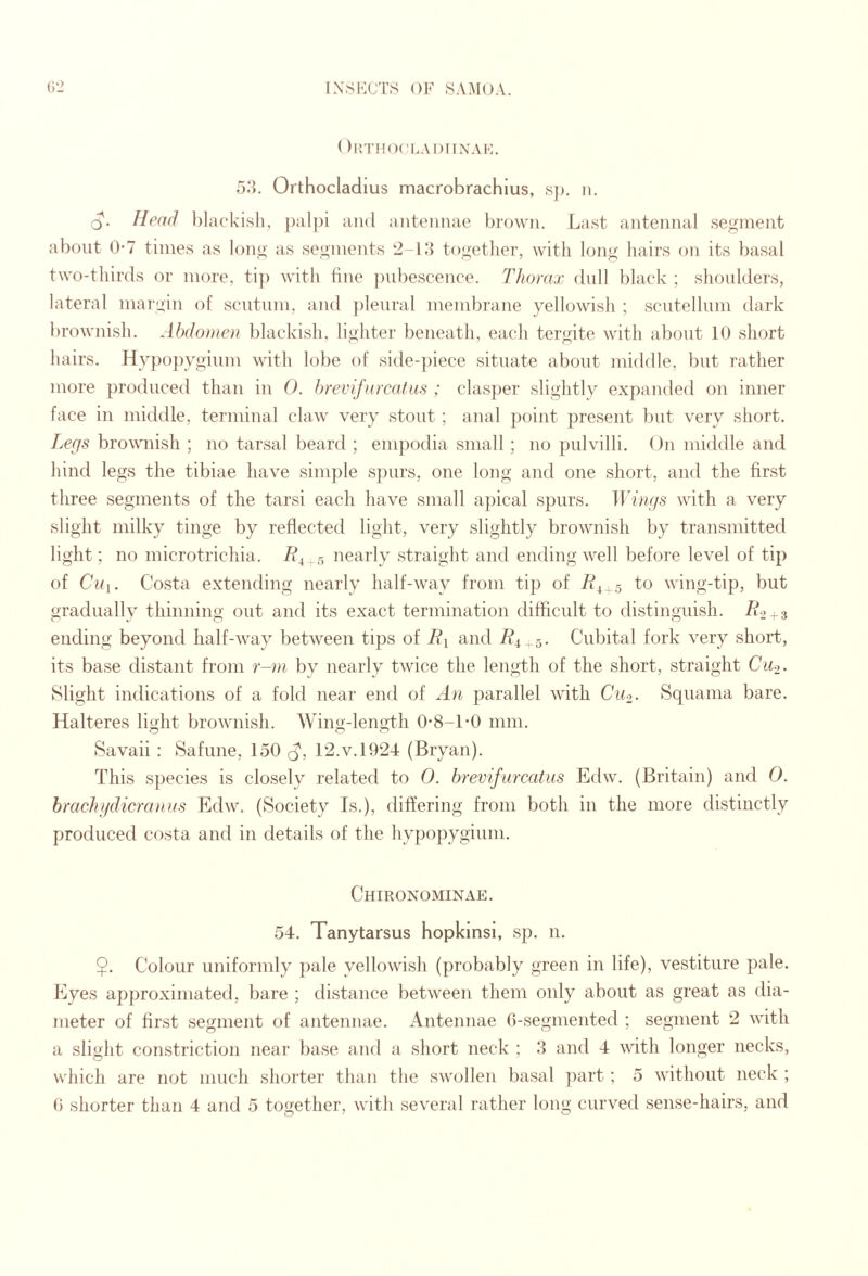 ()irrn()(:LAi)iiNAi':. 5.‘). Orthocladius macrobrachlus, sj). ii. Q. Head l)la('kish, and antennae brown. Last antennal .segment about 0-7 times as long as segments 2-1.togetlier, with long hairs on its basal two-thirds or more, tij) with fine ])ul)escence. Thorax dull black ; shoulders, lateral margin of scutum, and pleural meiubrane yellowish ; scutellum dark brownish. Abdomen blackish, lighter beneath, each tergite with about 10 short hairs. Hyjmpygium with lobe of side-piece situate about middle, but rather more produced than in 0. hrevifarcatus ; clas])er slightly expanded on inner face in middle, terminal claw very .stout ; anal point present but very short. Legs brownish ; no tarsal beard ; empodia small; no pul villi. On middle and hind legs the tibiae have simple s})urs, one long and one short, and the first three segments of the tarsi each have small a])ical spurs. Mings with a very slight milky tinge by reflected light, very slightly brownish by transmitted light; no microtrichia. . 5 nearly .straight and ending well before level of tip of Cui. Costa extending nearly half-way from tip of to wing-tip, but gradually thinning out and its exact termination difficult to distinguish. R2-3 ending beyond half-way between tips of IR and Cubital fork very short, its base distant from r-ni by nearly twice the length of the short, .straight Cu-y. Slight indications of a fold near end of An parallel with Ciii. Squama bare. Halteres light brownish. Wing-length O'8-l-O mm. Savaii : Safune, 150 d', 12.v.1924 (Bryan). This species is clo.sely related to 0. hrevifurcatus Edw. (Britain) and 0. hrachifdicranus Edw. (Society Is.), differing from both in the more distinctly produced costa and in details of the hypopygium. Chironominae. 54. Tanytarsus hopkinsi, sp. n. $. Colour uniformly pale yellowi.sh (probably green in life), vestiture pale. Eyes approximated, bare ; distance between them only about as great as dia¬ meter of first segment of antennae. Antennae G-.segmented ; segment 2 with a slight constriction near ba.se and a short neck ; 9 and 4 with longer necks, which are not much shorter than the swollen basal ])art; 5 without neck ;