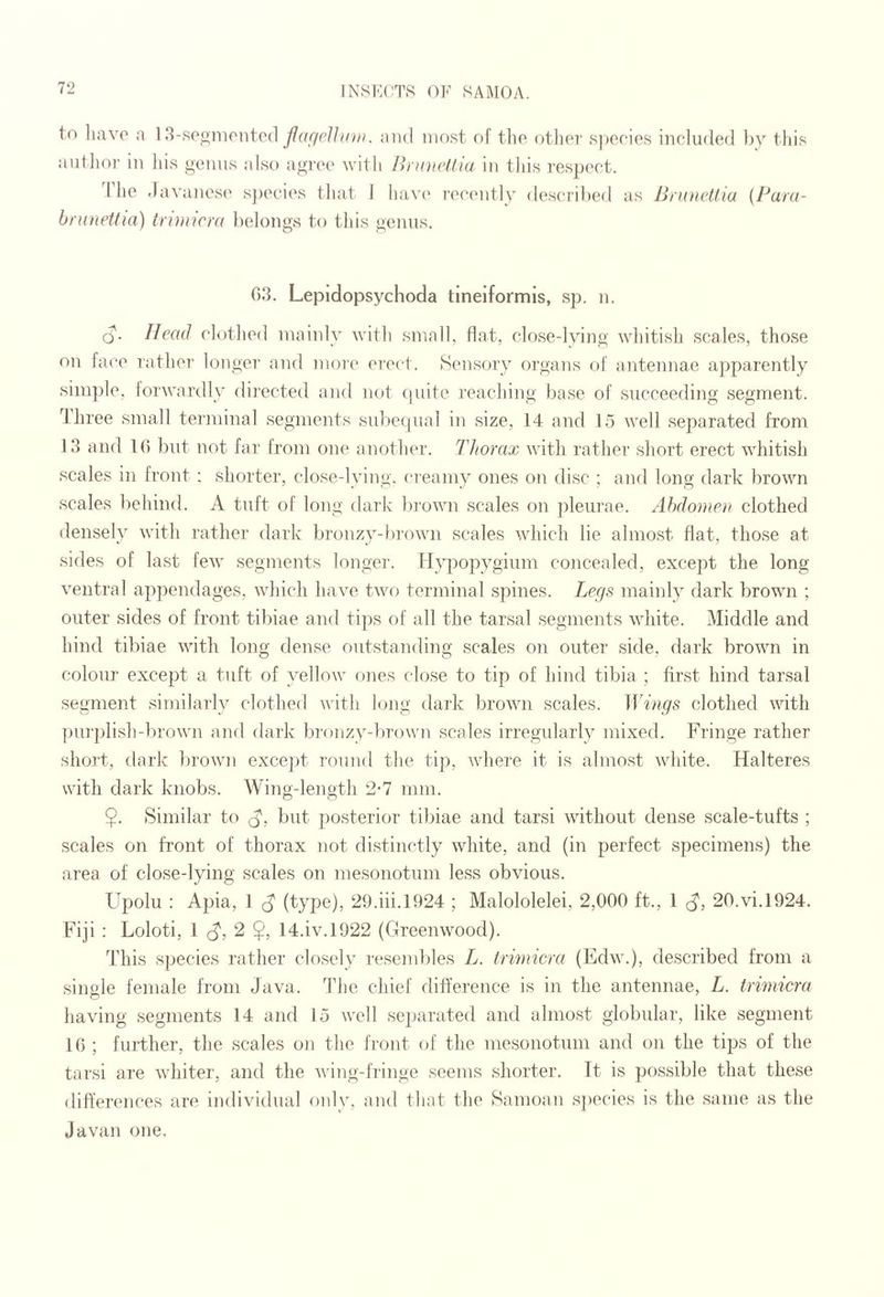 to liavo a 13-so_oiiionte(1 Jlarfelhan. and most of tlio. otliei' s])e(‘ies included ])y tliis aiitlior in his genus also agree with Ih ioieUia in this respect. I lie davanosi' sjiecies that I havi' recently described as Brunctlia {Para- brutietiui) trinucra Iielongs to this genus. 03. Lepidopsychoda tinelformls, sp. n. Q. Head clothed mainly with small, flat, close-lying whitish scales, those on face rathei’ longer and more ei'ect. Sensory organs of antennae apparently simple, forwardly directed and not (piitc reaching base of succeeding segment, d liree small terminal segments suliequal in size, 14 and 15 well separated from 13 and 10 but not far Irom one another. Thorax with rather short erect whitish scales in front : shorter, close-lying, ci'eamy ones on disc ; and long dark brown scales behind. A tuft of long dark lu'own scales on ])leiirae. Abdomen clothed densely with rather dark bronzy-brown scales which lie almost flat, those at sides of last few segments longer. Hypopygium concealed, except the long ventral appendages, which have two terminal spines. Legs mainly dark brown ; outer sides of front tibiae and tips of all the tarsal segments white. Middle and hind tibiae with long dense outstanding scales on outer side, dark brown in colour except a tuft of yellow ones close to tip of hind tibia ; first hind tarsal segment similarly clothed with huig dark brown scales. Wings clothed with ])U]']dish-brown ami dark bronzy-brown scales irregularly mixed. Fringe rather short, dark brown except romid the tip, where it is almost white. Halteres with dark knobs. Wing-length 2-7 nun. $. Similar to but posterior tibiae and tarsi without dense scale-tufts ; scales on front of thorax not distinctly white, and (in perfect specimens) the area of close-lying scales on mesonotum less obvious. Upolu : Apia, 1 ^ (type), 29.hi.1924 ; Malololelei, 2,000 ft., 1 20.vi.1924. Fiji : Loloti, 1 2 $, 14.iv.l922 (Greenwood). This species rather closely resembles L. trimicra (Edw.), described from a single female from Java. The chief difference is in the antennae, L. trimicra having segments 14 and 15 well se2>arated and almost globular, like segment 10 ; further, the scales on the front of the mesonotum and on the tips of the tarsi are whiter, and the wing-lringe seems shorter. Tt is possible that these differences are individual only, and that the Samoan s])ecies is the same as the Javan one.