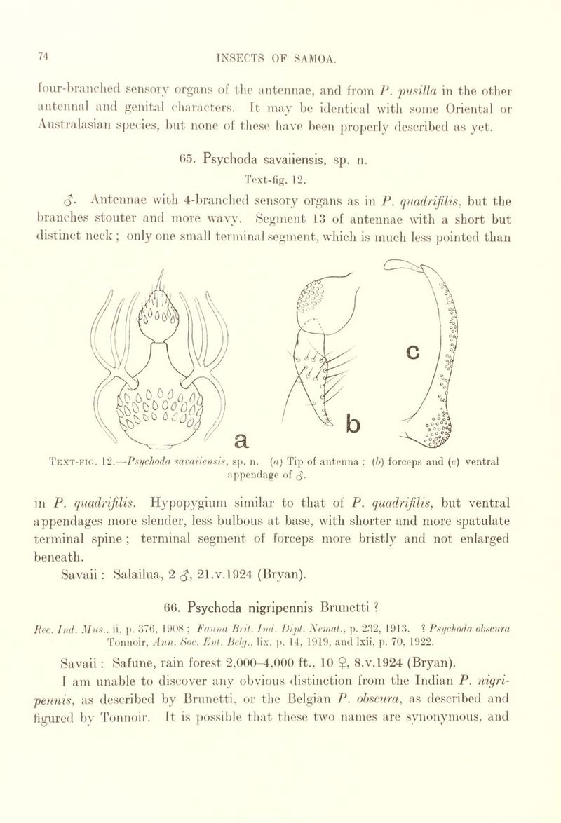 lour-liranched sensory organs of the antennae, and from P. jmsilla in the other antennal and genital characters. It may be identical with some Oriental or Australasian species, but none ol these have been pro})erly describetl as yet. C)5. Psychoda savaiiensis, sp. n. Toxt-lig. 12. (^. Antennae with 4-branched sensory organs as in P. (p(adrifilis, but the branches stouter and more wavy. tSegment l‘> of antennae with a short but distinct neck ; only one small terminal segment, which is much less pointed than Text-i’Ic. 12.—Psffchndn f^avaiipnsis, s]). n. (a) Tip of antenna ; [b) forceps and (c) ventral a])pendage of in P. quadrijilis. Hypopygium similar to that of P. quadrifilis. but ventral appendages more slender, less bulbous at base, with shorter and more spatulate terminal spine ; terminal segment of forceps more bristly and not enlarged beneath. Savaii: Salailua, 2 21.v. 1924 (Bryan). OG. Psychoda nignpennls Brunetti ? Rpc. Ind. ii, ]). 37(3, l'J(j8 ; Fauna Bril. lad. Dipt. Nraiat., p. 232, 1913. ? Ffajchoda obacura Tonnoir, Ann. Foe. Eat. Belfj.. lix. ]>. 14, 1919, and Ixii, ]). 70, 1922. Savaii: Safune, rain forest 2,000-4,000 ft., 10 8.V.1924 (Bryan). I atn unable to discover any obvious distinction from the Indian P. nigri- 'pennis, as described by Brunetti, or the Belgian P. obscum, as described and tigured by Tonnoir. It is ])ossible that these two names are synonymous, and