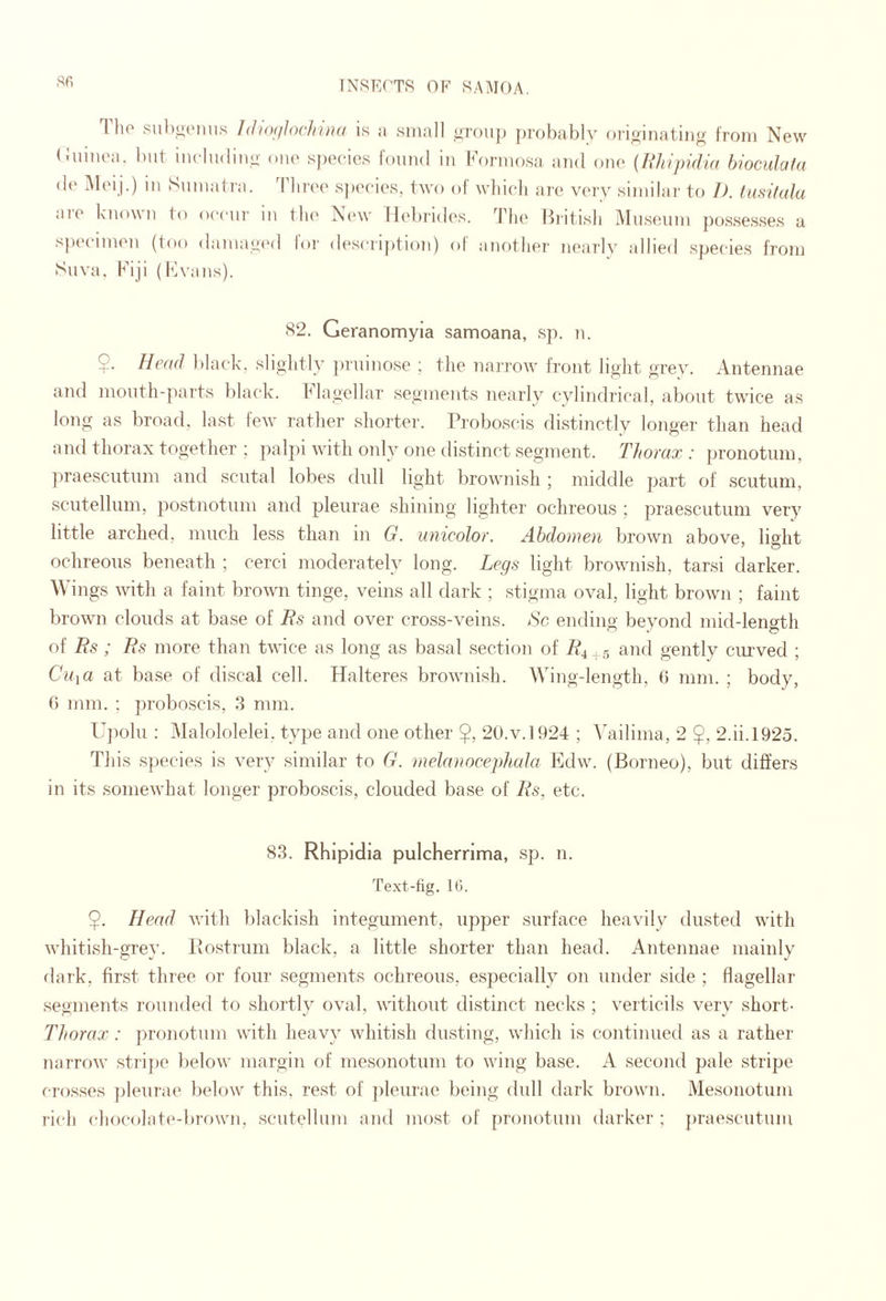 Tho siibiiiMHis hUofihchina is a small juroiip probably orioinatiiig from New (iiiinea. but includitio- one species found in Formosa and one {Hhipidm bioculata de Meij.) in Sumatra. Tlii'ee s])eeies, two ol wlueli are very similai' to 1). lusitala are known to occur in the New Hebrides. The Hiitish Museum possesses a s])eeimen (too damaycMl foi' description) of another nearly allied species from Suva, Fiji (Fvans). 82. Geranomyia samoana, sp. n. $. Head ])lack. sliglitly prninose ; tlie naiTow front light grey. Antennae and month-parts black, hlagellar segments nearly cylindrical, about twice as long as broad, last few rather shorter. Proboscis distinctly longer than head and thorax together ; palpi with only one distinct segment. Thorax : pronotum, ])raesciitum and sciital lobes dull light brownish ; middle part of scutum, scutellum, postnotum and pleurae shining lighter ochreous ; praescutuni very little arched, much less than in G. unicolor. Abdomen brown above, light ochreous beneath ; cerci moderately long. Legs light brownish, tarsi darker. Wings with a faint brown tinge, veins all dark ; stigma oval, light brown ; faint brown clouds at base of Bs and over cross-veins. Ac ending beyond mid-length of Rs ; Rs more than twice as long as basal section of R^ r, ai^d gently ciu’ved ; Cilia at base of discal cell. Halteres brownish. Wing-length, (3 mm. ; body, 6 mm. ; proboscis, 3 mm. Upolu : Malololelei, type and one other 20.V.1924 ; Vailima, 2 $, 2.ii.l925. This species is very similar to G. rnelanocephala Edw. (Borneo), but differs in its somewhat longer proboscis, clouded base of Rs, etc. 83. Rhlpidia pulcherrima, sp. n. Text-fig. It). $. Head with lilackish integument, upper surface heavily dusted with whitish-grey. Bostrum black, a little shorter than head. Antennae mainly dark, first three or four segments ochreous, especially on under side ; flagellar segments rounded to shortly oval, without distinct necks ; verticils very short- Thorax: pronotum with heavy whitish dustiug, which is continued as a rather narrow stTi])e below margin of mesonotum to wing base. A second pale stripe cro.s.ses pleurae below this, rest of ])leurae being dull dark brown. Mesonotum rich chocolate-brown, scutellum and most of [n'onotum darker ; praescutuni