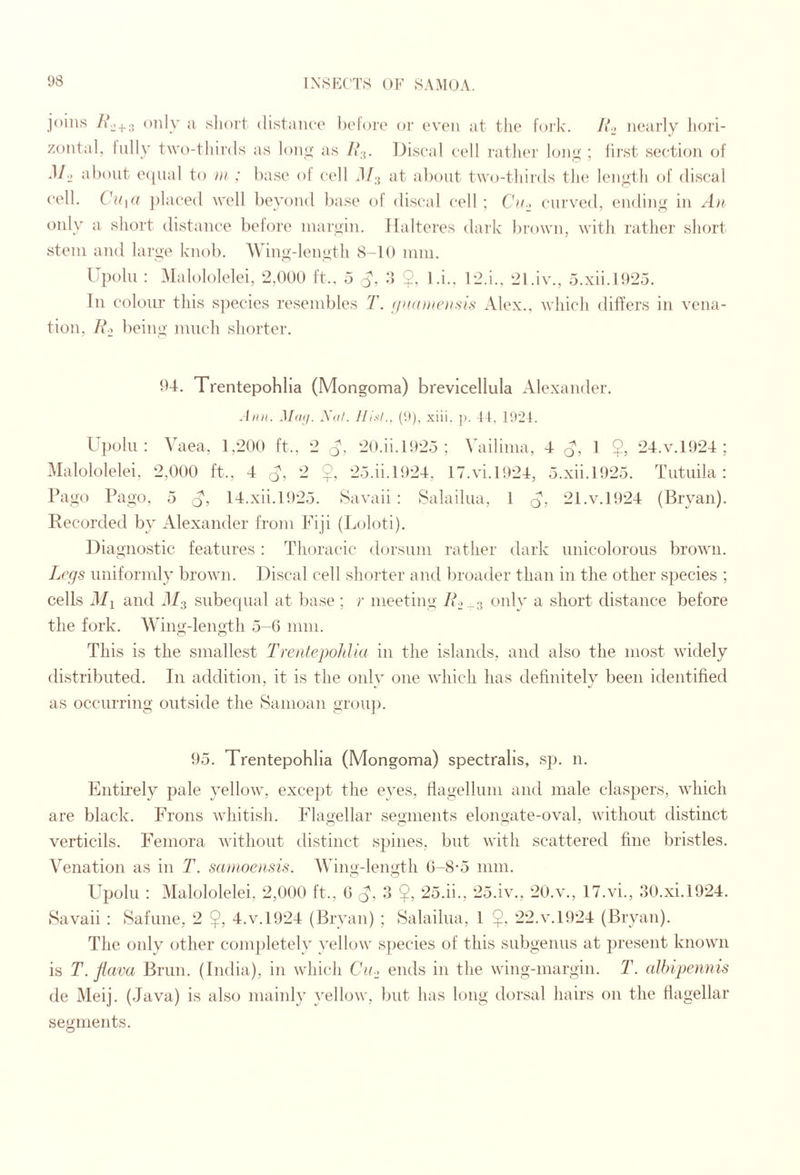 joins only a slioit distance bclorc or even at the fork. /A> nearly hori¬ zontal, hilly two-thirds as lony as 1*^. Discal cell rathei' long ; lirst section of M., about e([ual to in : base ol cell d/.j at about two-thii'ds the length of discal cell. Cu](f ])laced well beyond base of discal cell ; curved, ending in An only a short distance before margin, ilalteres dark brown, with rather short stem and large knob. Wing-length 8-10 mm. ITpolu : Malololelei, 2,000 ft.. 5 :> $, l.i.. 12.i.. 21.iv., 5.xii.l025. In colour this s])ecies resembles T. (/udinen.sis Alex., which difTers in vena¬ tion, At, lieiny much shorter. bd. Trentepobha (Mongoma) brevicellula Alexander. .hut. Mafj. Sid. ('.)), xiii. p. 11, 1921. bpolu : Vaea, 1,200 ft., 2 q, 20.ii.l925 ; Vailima, 4- q, 1 $, 24.V.1924 ; Malololelei. 2,000 ft., 4 Ay - $’ 2o.ii.l924, 17.vi.1924, 5.xii.l925. Tutuila : Pago Pago, 5 Ay 14.xii.1925. Savaii : Salailua, 1 q, 21.v.1924 (Bryan). Recorded by Alexander from Fiji (Loloti). Diagnostic features: Thoracic dorsum rather dark unicoloroiis brown. Legs uniformly brown. Discal cell shorter and liroader than in the other species ; cells Ml and d/3 subequal at base ; r meeting R only a short distance before the fork. Wing-length 5-6 mm. This is the smallest TrentepoJdia in the islands, and also the most widely distributed. In addition, it is the only one which has definitely been identified as occurring outside the Samoan group. 95. Trentepobha (Mongoma) spectralis, sj). n. Entirely pale yellow, except the eyes, flagellum and male claspers, which are black. Frons whitish. Flagellar segments elongate-oval, without distinct verticils. Femora without distinct spines, but with scattered fine bristles. Venation as in T. sanioeiisis. Wing-length 6-8-5 mm. Upolu ; Malololelei, 2,000 ft., 6 q, 3 $, 25.ii., 25.iv., 20.v., 17.vi., 30.xi.1924. Savaii : Safune, 2 $, 4.v.1924 (Bryan) ; Salailua, 1 22.V.1924 (Bryan). The only other com])letely yellow species of this subgenus at present known is T. fiava Brim. (India), in which Ch/o ends in the wing-margin. T. alhipennis de Meij. (Java) is also mainly yellow, but has long dorsal hairs on the flagellar segments.