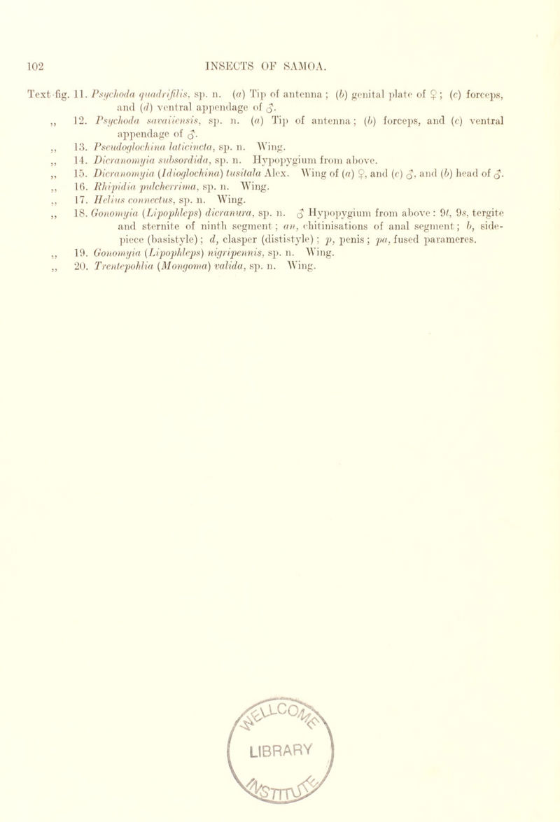 Tcxt- fig. 11. Pstjchoda tiiiadrlfilix, sj). ii. («) Ti)) of antenna ; (h) genital ])lat(‘ of $; (c) force2)s, and {d) ventral a])i)en(lage of ,, 12. Psifchodn saraiintsi.s, .sj). n. («) Ti]) of antenna; (h) force])S, and (e) ventral ap])endage of ,, 1.3. Ptteudoglochina htlicivcla, sp. n. AVing. ,, 14. Dicranomyia suhsordidn, sj). n. Hypo])yginm from above. ,, 15. Dicraiiniiiyia (IdiogJocInua) tusilala Alex. Wing of (a) 9, and (e) q, and (h) bead of „ U). Phipidia pidcherrima, s]). n. Wing. ,, 17. Helius connectu!>, s]). n. Wing. ,, 18. Gonomyia {Lipophlcps) dicranura, sj). n. q lly])0])yginni from al)ove : 9b 9s, tergite and sternite of ninth segment ; cni, ehitinisations of anal segment; J), side- piece (basi&tyle); d, clasper (dististyle); p, penis ; ])a, fused parameres. ,, 19. Gonoiiiyift {LipopJdcps) myripennis, s]). n. W ing. ,, 2U. TrenicpoJdia {Monyoma) vaJida, sp. n. Wing.