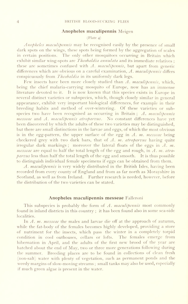 Anopheles maculipennis Meigen (Plate 4) Anopheles maculipennis may be recognised easily by the presence of small dark spots on the wings, these spots being formed by the aggregation of scales in certain positions. The only other mosquitoes occurring in Britain which exhibit similar wing-spots are Theobaldia annulata and its immediate relatives ; these are sometimes confused with A. macul'ipennis, but apart from generic differences which are obvious on a careful examination, A. maculipennis differs conspicuously from Theobaldia in its uniformly dark legs. Few insects have been more closely studied than A. maculipennis, which, being the chief malaria-carrying mosquito of Europe, now has an immense literature devoted to it. It is now known that this species exists in Europe in several distinct varieties or subspecies, which, though closely similar in general appearance, exhibit very important biological differences, for example in their breeding habits and method of over-wintering. Of these varieties or sub- species two have been recognised as occurring in Britain ; A. maculipennis messeae and A. maculipennis atroparvus. No constant differences have yet been discovered bv which the adults of these two varieties may be distinguished, but there are small distinctions in the larvae and eggs, of which the most obvious is in the egg-pattern, the upper surface of the egg in A. m. messeae being checkered grey with two dark bars, that of A. m. atroparvus having quite irregular dark markings ; moreover the lateral floats of the eggs in A. m. messeae are equal to half the total length of the egg and rough, in A. m. atro- parvus less than half the total length of the egg and smooth. It is thus possible to distinguish individual female specimens if eggs can be obtained from them. A. maculipennis is very widely distributed in the British Isles, having been recorded from every county of England and from as far north as Morayshire in Scotland, as well as from Ireland. Further research is needed, however, before the distribution of the two varieties can be stated. Anopheles maculipennis messeae Falleroni This subspecies is probably the form of A. maculipennis most commonly found in inland districts in this country ; it has been found also in some sea-side localities. In A. m. messeae the males and larvae die off at the approach of autumn, while the fat-body of the females becomes highly developed, providing a store of nutriment for the insects, which pass the winter in a completely torpid condition in cool outhouses, cellars or lofts. The females emerge from hibernation in April, and the adults of the first new brood of the year are hatched about the end of May, two or three more generations following during the summer. Breeding places are to be found in collections of clean fresh (non-salt) water with plenty of vegetation, such as permanent ponds and the weedy margins of slow-moving streams ; small tanks may also be used, especially if much green algae is present in the water.