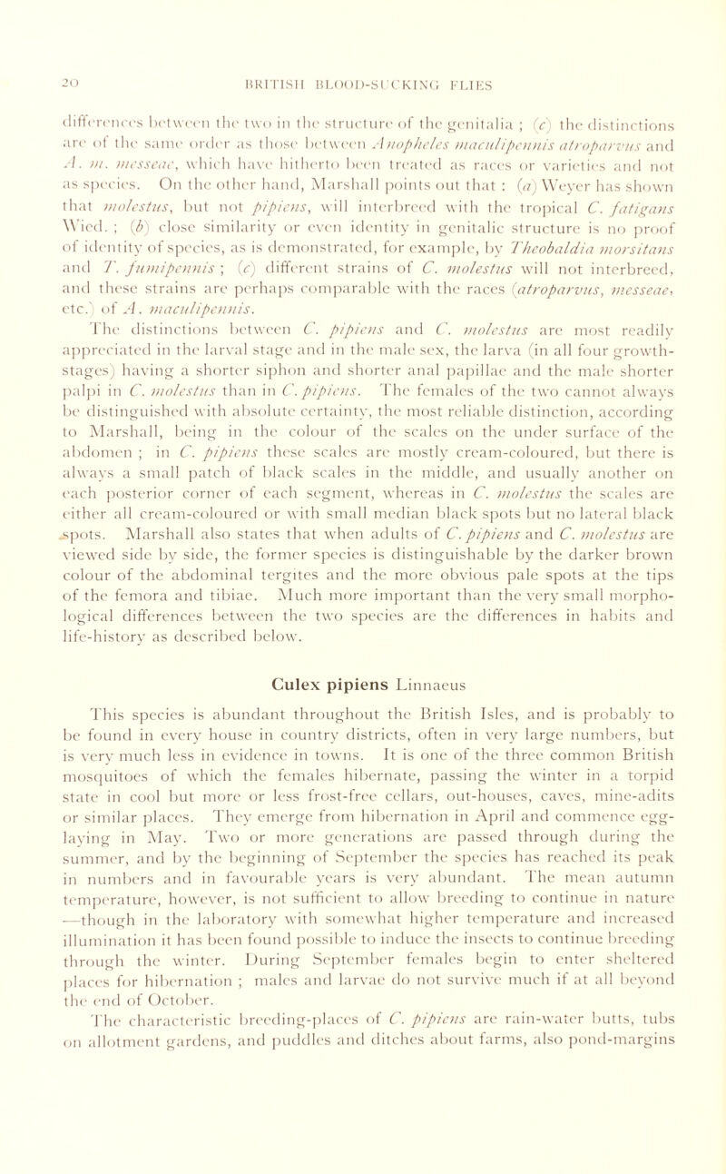 differences between the two in the structure of the genitalia ; (c) the distinctions are of the same order as those between Anopheles maculipennis atroparvus and A. m. vtesseac, which have hitherto been treated as races or varieties and not as species. On the other hand, Marshall points out that : (a) Weyer has shown that molestus, but not pipiens, will interbreed with the tropical C. fatigans Wied. ; (h) close similarity or even identity in genitalic structure is no proof of identity of species, as is demonstrated, for example, by Theobaldia morsitans and T. fumipennis ; (c) different strains of C. molestus will not interbreed, and these strains are perhaps comparable with the races (atroparvus, messeae, etc. of A. maculipennis. The distinctions between C. pipiens and C. molestus are most readily appreciated in the larval stage and in the male sex, the larva (in all four growth- stages) having a shorter siphon and shorter anal papillae and the male shorter palpi in C. molestus than in C. pipiens. The females of the two cannot always be distinguished with absolute certainty, the most reliable distinction, according to Marshall, being in the colour of the scales on the under surface of the abdomen ; in C. pipiens these scales are mostly cream-coloured, but there is always a small patch of black scales in the middle, and usually another on each posterior corner of each segment, whereas in C. molestus the scales are either all cream-coloured or with small median black spots but no lateral black ^spots. Marshall also states that when adults of C. pipiens and C. molestus are viewed side by side, the former species is distinguishable by the darker brown colour of the abdominal tergites and the more obvious pale spots at the tips of the femora and tibiae. Much more important than the very small morpho- logical differences between the two species are the differences in habits and life-history as described below. Culex pipiens Linnaeus This species is abundant throughout the British Isles, and is probably to be found in every house in country districts, often in very large numbers, but is very much less in evidence in towns. It is one of the three common British mosquitoes of which the females hibernate, passing the winter in a torpid state in cool but more or less frost-free cellars, out-houses, caves, mine-adits or similar places. They emerge from hibernation in April and commence egg- laying in May. Two or more generations are passed through during the summer, and by the beginning of September the species has reached its peak in numbers and in favourable years is very abundant. The mean autumn temperature, however, is not sufficient to allow breeding to continue in nature —though in the laboratory with somewhat higher temperature and increased illumination it has been found possible to induce the insects to continue breeding through the winter. During September females begin to enter sheltered places for hibernation ; males and larvae do not survive much if at all beyond the end of October. The characteristic breeding-places of C. pipiens are rain-water butts, tubs on allotment gardens, and puddles and ditches about farms, also pond-margins