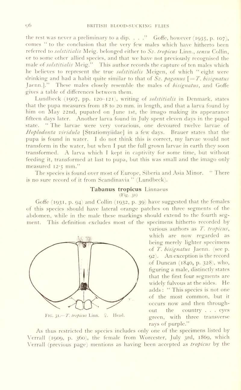 the rest was never a preliminary to a dip. . . Goffe, however (1935, p. 107), comes “ to the conclusion that the very few males which have hitherto been referred to solstitialis Meig. belonged either to Sz. tropicus Linn., sensu Collin, or to some other allied species, and that we have not previously recognised the male of solstitialis Meig.” This author records the capture of ten males which he believes to represent the true solstitialis Meigen, of which “ eight were drinking and had a habit quite similar to that of Sz. paganus [=T. bisignatus Jaenn.].” These males closely resemble the males of bisignatus, and Goffe gives a table of differences between them. Lundbeck (1907, pp. 120-121 , writing of solstitialis in Denmark, states that the pupa measures from 18 to 20 mm. in length, and that a larva found by him on May 22nd, pupated on June 1st, the imago making its appearance fifteen days later. Another larva found in July spent eleven days in the pupal state. “ The larvae were very voracious, one devoured twelve larvae of Hoplodonta viridula [Stratiomyiidae] in a few days. Brauer states that the pupa is found in water. I do not think this is correct, my larvae would not transform in the water, but when I put the full grown larvae in earth they soon transformed. A larva which I kept in captivity for some time, but without feeding it, transformed at last to pupa, but this was small and the imago only measured 12-5 mm.” The species is found over most of Europe, Siberia and Asia Minor. “ There is no sure record of it from Scandinavia ” (Lundbeck). Tabanus tropicus Linnaeus (Fig- 30 Goffe (1931, p. 94 and Collin (1932, p. 39) have suggested that the females of this species should have lateral orange patches on three segments of the abdomen, while in the male these markings should extend to the fourth seg- ment. This definition excludes most of the specimens hitherto recorded by various authors as T. tropicus, which are now regarded as being merely lighter specimens of T. bisignatus Jaenn. (see p. 92). An exception is the record of Duncan (1840, p. 328), who, figuring a male, distinctly states that the first four segments are widely fulvous at the sides. He adds : “ This species is not one of the most common, but it occurs now and then through- out the country . . . eyes green, with three transverse rays of purple.” Fig. 31.-7’. tropicus Linn. $. Head. As thus restricted the species includes only one of the specimens listed by Verrall (1909, p. 360), the female from Worcester, July 3rd, 1869, which Verrall (previous page) mentions as having been accepted as troptcus by the