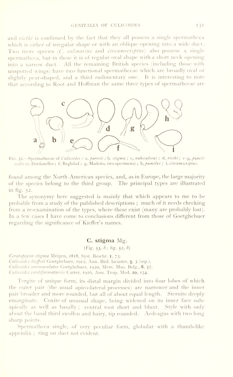 and riet/ti is confirmed by the fact that they all possess a single spermatheca which is either of irregular shape or with an oblique opening into a wide duct. Two more species [('. salinarius and circumscriptns) also possess a single spermatheca, but in these it is of regular oval shape with a short neck opening into a narrow duct. All the remaining British species (including those with unspotted wings have two functional spermathecae which are broadly oval or slightly pear-shaped, and a third rudimentary one. It is interesting to note that according to Root and Hoffman the same three types of spermathecae are Fig. 52.—Spermathecae of Culicoides : a, parroti ; b. stigma ; c, nubeculosus ; d, riethi; c-g, puncti- collis (e. Dardanelles ; f, Baghdad ; g, Madeira, two specimens); \\,pumilus ; circuniscriptus. found among the North American species, and, as in Europe, the large majority of the species belong to the third group. The principal types are illustrated in fig. 52. The synonymy here suggested is mainly that which appears to me to be probable from a study of the published descriptions ; much ot it needs checking from a re-examination of the types, where these exist (many are probably lost). In a few cases I have come to conclusions different from those of Goetghebuer regarding the significance of Kieffer’s names. C. stigma Mg. (Fig. 53, b; fig. 52, b) Ceratopogon stigma Meigen, 1818, Syst. Beschr. 1, 73. Culicoides kiefferi Goetghebuer, 1912, Ann. Biol, lacustre, 5, 3 (scp.). Culicoides uuimaculatus Goetghebuer, 1920, Mem. Mus. Belg., 8, 57. Culicoides cordiformatarsis Carter, 1916, Ann. Trop. Med. 10, 134. Tergite of unique form, its distal margin divided into four lobes of which the outer pair (the usual apico-lateral processes) are narrower and the inner pair broader and more rounded, but all of about equal length. Sternite deeply emarginate. Coxite of unusual shape, being widened on its inner face sub- apically as well as basally ; ventral root short and blunt. Style with only about the basal third swollen and hairy, tip rounded. Aedeagus with two long sharp points. Spermatheca single, of very peculiar form, globular with a thumb-like appendix ; ring on duct not evident.