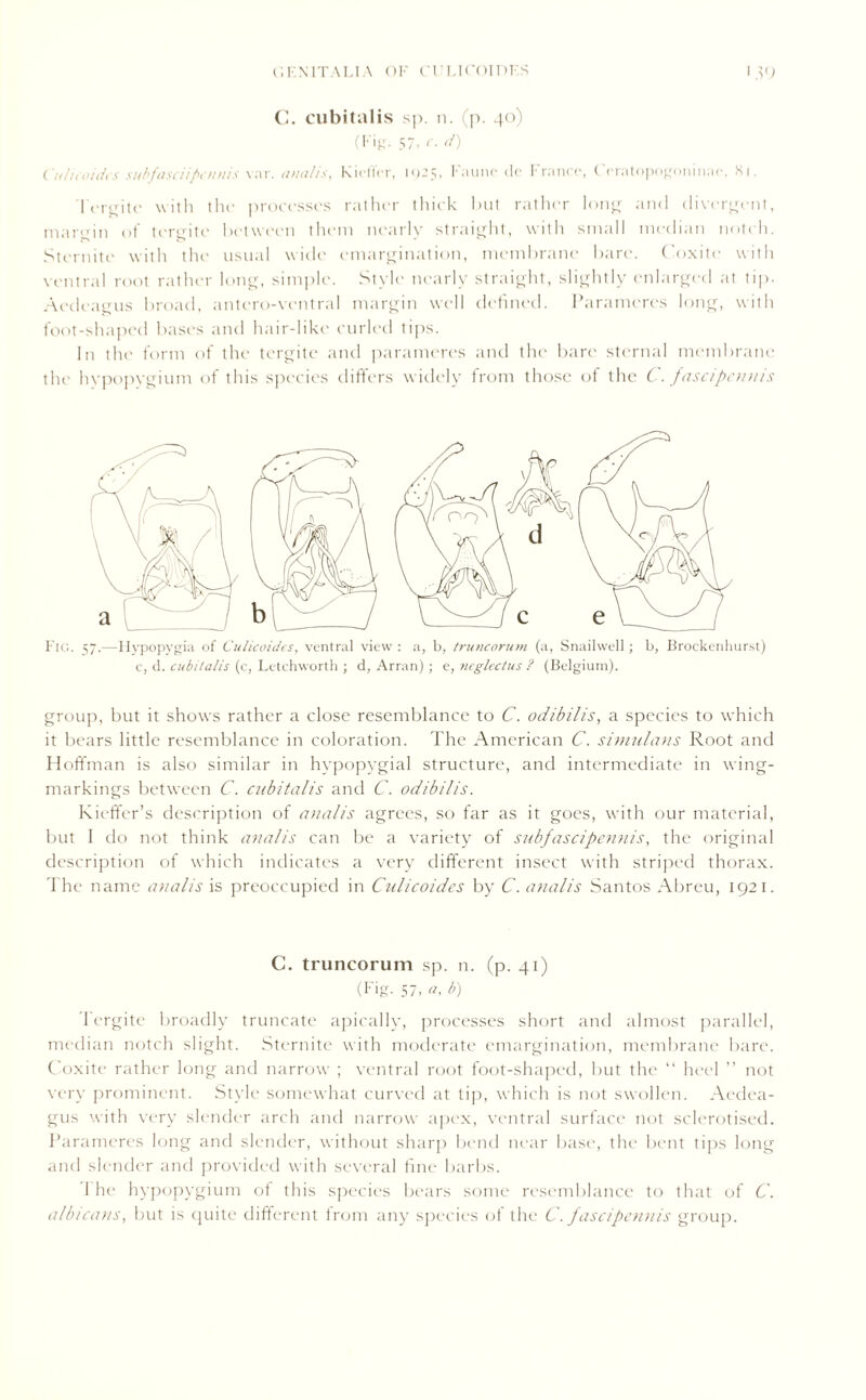 C. cubitalis sp. n. (p. 40) (Fig. 57, o d) ('n/icoidi s subfasciipcnnis var. <uta/is, KictTer, 1925, Faunc do France, Ceratopogoninae, Si. Irr^itc with the processes rather thick hut rather long and divergent, margin of termite between them nearly straight, with small median notch. Sternite with the usual wide emargination, membrane bare. Coxite with ventral root rather long, simple. Style nearly straight, slightly enlarged at tip. Aedcagus broad, antero-vcntral margin well defined. Parameres long, with foot-shaped bases and hair-like curled tips. In the form of the tergite and parameres and the bare sternal membrane the hypopvgium of this species differs widely from those of the C. fascipennis Fig. 57.—Ilypopygia of Culicoides, ventral view: a, b, truncorum (a, Snailwell; b, Brockenhurst) c, d. cubitalis (c, Letchworth ; d, Arran) ; e, ?ieglec/us ? (Belgium). group, but it shows rather a close resemblance to C. odibilis, a species to which it bears little resemblance in coloration. The American C. simulans Root and Hoffman is also similar in hypopygial structure, and intermediate in wing- markings between C. cubitalis and C. odibilis. Kiefifer’s description of analis agrees, so far as it goes, with our material, but I do not think analis can be a variety of subfascipennis, the original description of which indicates a very different insect with striped thorax. The name analis is preoccupied in Culicoides by C. analis Santos Abreu, 1921. C. truncorum sp. n. (p. 41) (Fig. 57, «■, b) 1 ergite broadly truncate apically, processes short and almost parallel, median notch slight. Sternite with moderate emargination, membrane bare. Coxite rather long and narrow ; ventral root foot-shaped, but the “ heel ” not very prominent. Style somewhat curved at tip, which is not swollen. Aedea- gus with very slender arch and narrow apex, ventral surface not sclerotised. Parameres long and slender, without sharp bend near base, tin- bent tips long and slender and provided with several fine barbs. 1 he hypopygium of this species bears some resemblance to that of C. albicans, but is quite different from any species (if the C. fascipennis group.