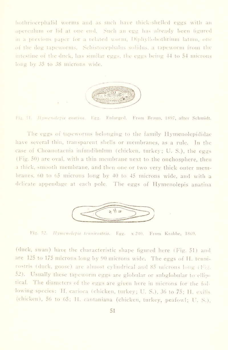 holhriocephalid worms and as sucli have thick-shelled eggs with an operculum or lid at one end. Such an egg has already hecn figured in a previous paper for a related worm, Diphyllohothrium latum, one ol the dog tapeworms. Schistocephalus solidus, a tapeworm from the intestine of the duck, has similar eggs, the eggs being -14 to 54 microns long by 35 to 38 microns wide. I-is 1. IIynicnolrl'is aiialma. Kgs. Enlarged. From Braun, 1897, after Schmidt. The eggs of tapeworms belonging to the family Ilymenolepididae have several thin, transparent shells or membranes, as a rule. In the case of Choanotaenia infundibulum (chicken, turkey; U. S.), the eggs (Fig. 50) are oval, with a thin membrane next to the onchosphere, then a thick, smooth membrane, and then one or two very thick outer mem- branes, 60 to 65 microns long by 40 to 45 microns wide, and with a delicate appendage at each pole. The eggs of Hymenolepis anatina l-i,'. >2. Hymcnolcl'is tenuirostris. Egg. x 240. From Kr.ihbe, 1869. (duck, swan) have the characteristic shape figured here (Fig. 51) and are 125 to 175 microns long by 90 microns wide. The eggs of 11. tenui- rostris (duck, goose) are almost cylindrical and 85 microns long (Fig. 52). Usually these tapeworm eggs are globular or subglolnilar to ellip- tical. 1 he diameters of the eggs are given here in microns for the fid- lowing species: II. carioca (chicken, turkey; U. S.), 36 to 75; H. exilis (chicken), 56 to 65; II. cantaniana (chicken, turkey, peafowl; U. S.),