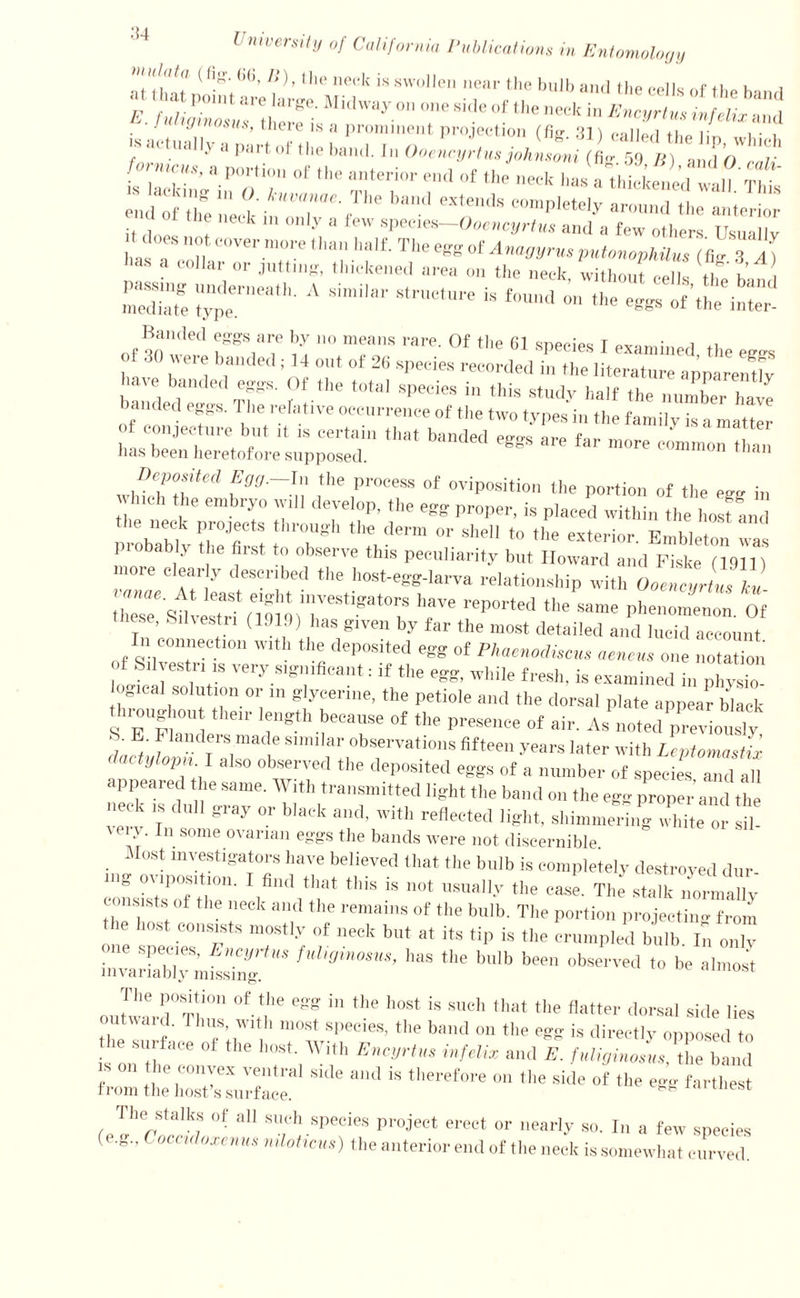 (,(5’ t,le ne<‘1{ is swollen near the bulb and the cells of n1P k. i E. fuliginosvs there'Ml(lway.0n one skle of the neck in Encyrtus infelix and formes, a portion of the anterior end of the neck has a thtke in n end ofTe !!* i'l‘ae-The band exlends completely around tjmierior w i . k 111 011 y a tew species—Ooencyrtus and a few others Usually a‘'“f ”?,t ^r ™o>;c ‘han half. The egg of Anagyrusputonophilus^ll) has ? collar or jotting, thickened area on the neck without cert ft 2 C,eath-A si,,'i'ar stracturc is ■* Banded eggs are by Means rare. Of the 61 species I examined the egos 3C *eie banded; 14 out of 26 species recorded in the literature apparently , b,anded ®fgS- 0f the total OPcdca ill this study half the number have banded eggs. The relative occurrence of the two types in the family is a matter ” ; ,S Certam ‘hat banded <*8* are far more common than lias been heretofore supposed. 11 JXT1 lt9-% !he ,P10CeSS 0t ovipositio ‘be portion of the egg i„ Inch the embryo will develop, the egg proper, is placed within the hosfLid probably the'first. t T «?*”  SM‘ *° ,he “terior. Embleton was 1 abl> the fiist to observe this peculiarity but Howard and Fiske (1911) more clearly described the host-egg-larva relationship with Ooene JJ L thTsUv^fmqiT688*0^ T reP°rted ,e «•»« Phenomenon. Of se, dvestri (1013) has given by far the most detailed and lucid account In connection with the deposited egg of Phacnodkcm aenens one notation of Silvest... is very significant: if the egg, while fresh, is examined in physio logical solution or m glycerine, the petiole and the dorsal plate appear black throughout their length because of the presence of air. As noted previously S. E. Flanders made similar observations fifteen years later with LcptommtU > at tylopn I also observed the deposited eggs of a number of species and all appeared the same. With transmitted light the band on the egg proper's, , neck is dull gray or black and, with reflected light, shimmering whTte or sib \eiy. In some ovarian eggs the bands were not discernible Most investigators have believed that the bulb is completely destroyed dur- ~ V'-VT tlliS “ —>• ‘be ease. The stalk n'ormafly consists of the neck and the remains of the bulb. The portion projecting from one snccST T f f Ueck bUt * itS tip is ‘l,e erumpled bulb. In only invari^blv niS ino “ '*  tte b'b bee observed be almost The position of the egg in the host is such that the flatter dorsal side lies outward. Thus with most species, the band on the egg is directly opposed to the surface of the host. With Encyrtus infelix and E. fuliginoL, the band is on ie < onyex ventral side and is therefore on the side of the egg farthest from the host’s surface. The stalks of all such species project erect or nearly so. In a few species (e.g., Coccidoxenus mloticus) the anterior end of the neck is somewhat curved.