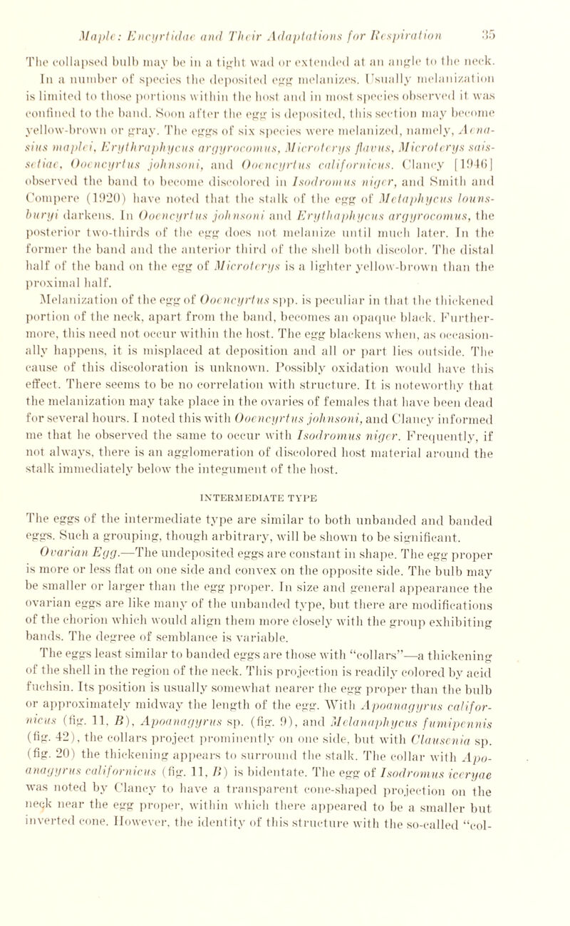 The collapsed bulb may be in a tight wail or extended at an angle to the neck. In a number of species the deposited egg melanizes. Usually melanization is limited to those portions within the host and in most species observed it was confined to t lie band. Soon after t lie egg is deposited, t his sect ion may become yellow-brown or gray. The eggs of six species were melanized, namely, Aena- sius maplei, Erythraphycus argyrocomus, Microterys flavus, Microterys sais- setiae, Oocncyrtus johnsoni, and Ooencyrtus calif ornicus. Clancy [194(1] observed the band to become discolored in Isodromus niger, and Smith and Compere (1920) have noted that the stalk of the egg of Metaphycus louns- huryi darkens. In Oocncyrtus johnsoni and Erythaphycus argyrocomus, the posterior two-thirds of the egg does not melanize until much later. In the former the band and the anterior third of the shell both discolor. The distal half of the band on the egg of Microterys is a lighter yellow-brown than the proximal half. Melanization of the egg of Ooencyrtus spp. is peculiar in that t he thickened portion of the neck, apart from the band, becomes an opaque black. Further- more, this need not occur within the host. The egg blackens when, as occasion- ally happens, it is misplaced at deposition and all or part lies outside. The cause of this discoloration is unknown. Possibly oxidation would have this effect. There seems to be no correlation with structure. It is noteworthy that the melanization may take place in the ovaries of females that have been dead for several hours. I noted this with Ooencyrtus joh nsoni, and Clancy informed me that he observed the same to occur with Isodromus niger. Frequently, if not always, there is an agglomeration of discolored host material around the stalk immediately below the integument of the host. INTERMEDIATE TYPE Tile eggs of the intermediate type are similar to both unbanded and banded eggs. Such a grouping, though arbitrary, will be shown to be significant. Ovarian Egg.—The undeposited eggs are constant in shape. The egg proper is more or less flat on one side and convex on the opposite side. The bulb may be smaller or larger than the egg proper. In size and general appearance the ovarian eggs are like many of the unbanded type, but there are modifications of the chorion which would align them more closely with the group exhibiting bands. The degree of semblance is variable. The eggs least similar to banded eggs are those with “collars”—a thickening of the shell in the region of the neck. This projection is readily colored by acid fuchsin. Its position is usually somewhat nearer the egg proper than the bulb or approximately midway the length of the egg. With Apoanagyrus califor- nicus (fig. 11, B), Apoanagyrus sp. (fig. 9), and Melanaphycus fumipennis (fig. 42), the collars project prominently on one side, but with Clausenia sp. (fig. 20) the thickening appears to surround the stalk. The collar with Apo- anagyrus calif ornicus (fig. 11, B) is bidentate. The egg of Isodromus iccryae was noted by Clancy to have a transparent cone-shaped projection on the neck near the egg proper, within which there appeared to be a smaller but. inverted cone. However, the identity of this structure with the so-called “col-