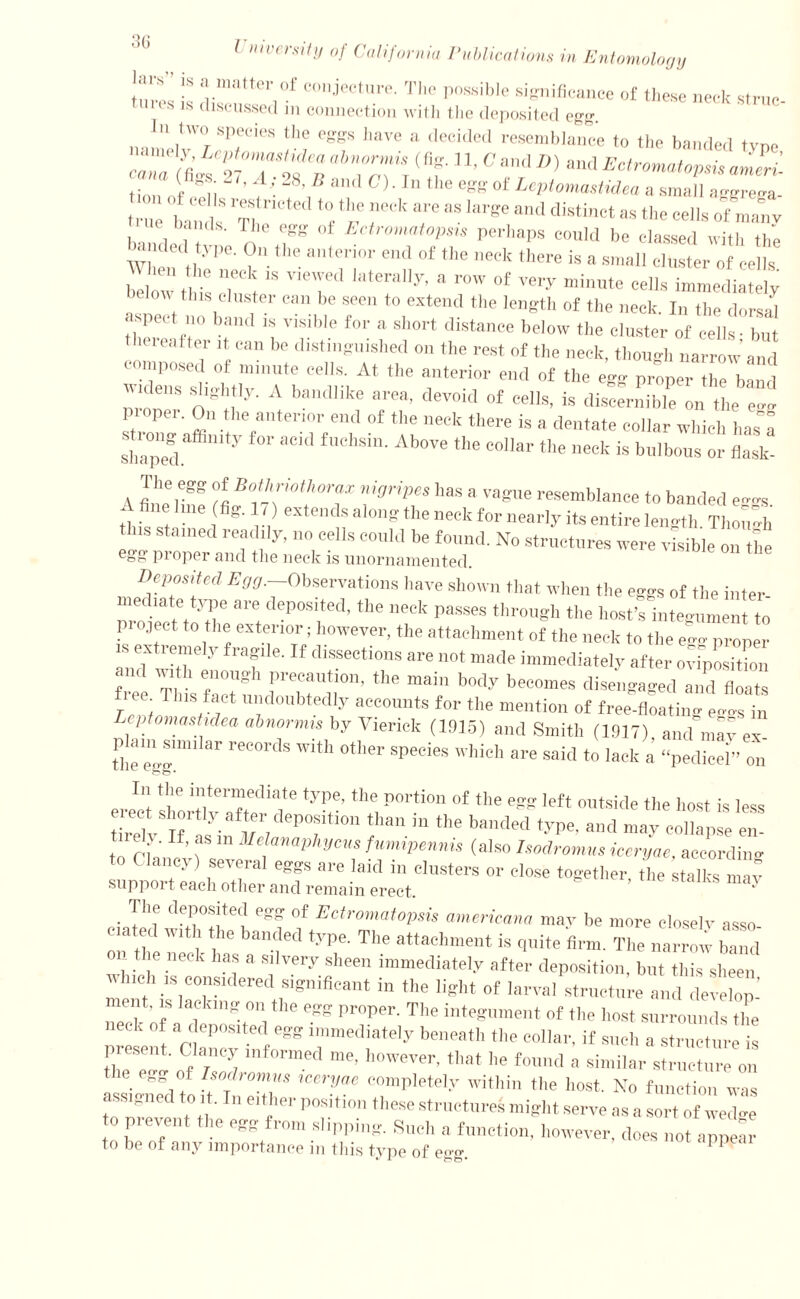 3G ! ““‘‘J,01 C0jcctl,re- The P°ssible significance of these neck stale- 1S discussed m connection with the deposited egg I t»0 speci,.s the eggs have a decided resemblance to the banded type earn fles I'Tt n 7r7\i(S' C' ”d D) aud *<*™*op* amen'- trUe bands *f r T ™ ^ ^ dl'Stinct as the ceIls of many banded ti' n .7® Ectrm>‘at°V™ perhaps could be classed with the W ™ 11 ?• • allte,r:0r end 01 the neck 'llCTe is a small cluster of cells 27Ik 7i ‘S ™? •' “ r°' °f V6ry mimt° ccl|s immediately below this cluster can be seen to extend the length of the neck. In the dorsal aspect no band is visible for a short distance below the cluster of cells - but theicaller it can be distinguished on the rest of the neck, though narrow and :z°;:t :irri -t,Af the a,,,terio1' nt ^ „ S'Igl '' ' At bandI,ke *™> de™d of cells, is discernible on the ego ' P '  ,,le anterior end of the neck there is a dentate collar which has a shaped y “ ■ Ab°Ve ‘he ooIIar the neck is bulbous or flask- A If rgS t« Bo*f™thor«x ’gripes lias a vague resemblance to banded e™s ibis St 16 1fig' r> ndS “ °”g ,be neek for nearly its entire length. Though this stained readily, no cells could be found. No structures were visible on tile et>8 pioper and the neck is unornamented. Deposited Egg.-Observations have shown that when the eggs of the inter lediate ty pe are deposited, the neck passes through the host’s integument to pi eject to the exterior; however, the attachment of the neck to the 7 proper “ y 7 “ diSSeCti0m are n0t made intniediatelv after ovfpSn and with enough precaution, the main body becomes disengaged and floats free 1 his fact undoubtedly accounts for the mention of free-flLing eggst Leptomastidea abnormis by Vierick (11)15) and Smith (1917) and mav ex tPhe egg'” ar reCOrdS Wlth °ther Species hich arc to lack a “pedicel” on In the intermediate type, the portion of the egg left outside the host is less ec shortly after deposition than in the banded type, and mav collapse en to ri»- ’) 31e!amt>hycm fumiPe’<™ (also Isodromus iceryae, according C 1 aney) several eggs are laid in clusters or close together the stalks nnv support each other and remain erect. * / Thf d“ °f Ectromat°Psis americana may be more closely asso- Cia W1 1 ie banded tyPe- The attachment is quite firm. The narrow band on t ie neck has a silvery sheen immediately after deposition, but this sheen which is considered significant in the light of larval structure and develop’ ment, is lacking on the egg proper. The integument of the host surrounds the neck of a deposited egg immediately beneath the collar, if such a structure is present. Clancy informed me, however, that he found a similar structure on e egg of Isodromus iceryae completely within the host. No function was assigned to it. In either position these structures might serve as a sort of wedge o pi even ie egS fi om slipping. Such a function, however, does not appear to be of any importance in this type of e<>«-