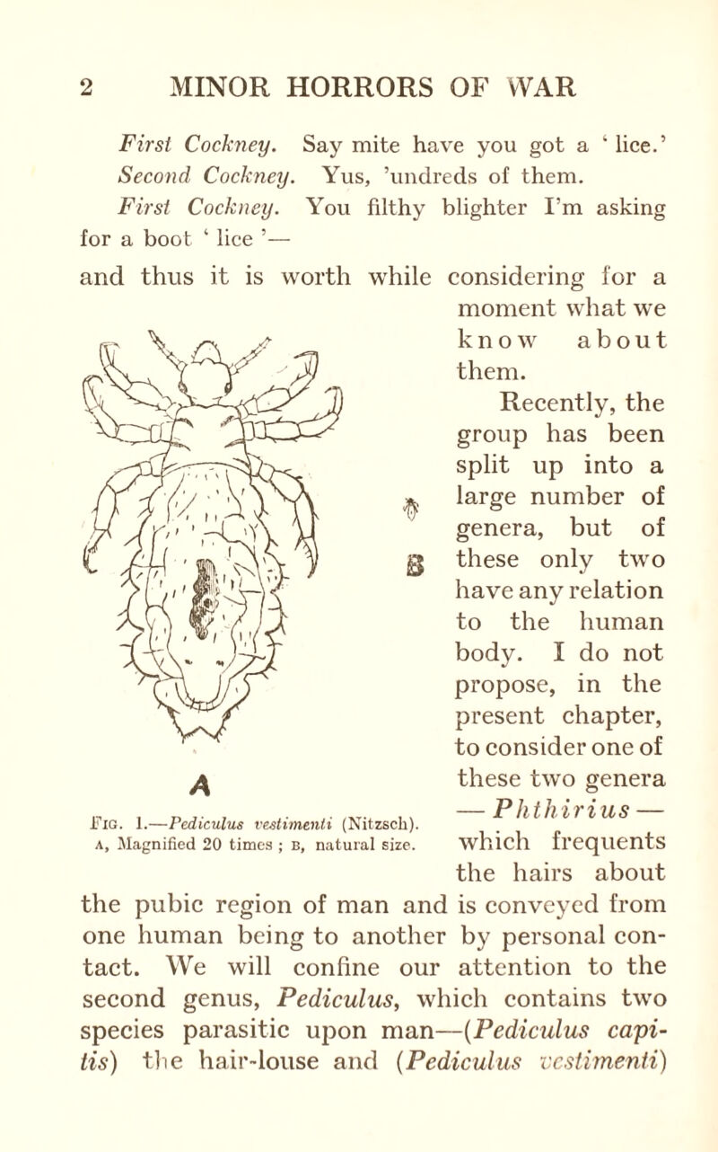 First Cockney. Say mite have you got a ‘ lice.’ Second Cockney. Yus, ’vmdreds of them. First Cockney. You filthy blighter I’m asking for a boot ‘ lice ’— and thus it is worth while considering lor a B moment what we know about them. Recently, the group has been split up into a large number of genera, but of these only two have any relation to the human body. I do not propose, in the present chapter, to consider one of these two genera — Phthirius — which frequents the hairs about the pubic region of man and is conveyed from one human being to another by personal con- tact. We will confine our attention to the second genus, Pediculus, which contains two species parasitic upon man—{Pediculus capi- tis) t]ie hair-louse and (Pediculus vcstimenti) Fig. 1.—Pediculus vestimenti (Nitzsch). A, Magnified 20 times ; b, natural size.