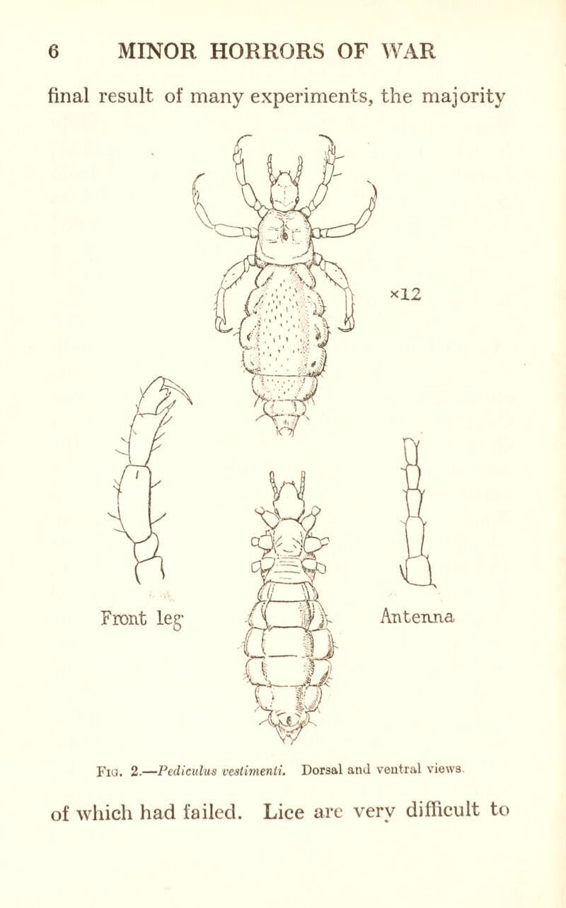 final result of many experiments, the majority Fig. 2.—Fediculus vestimenti. Dorsal and ventral views. of which had failed. Lice are very difficult to