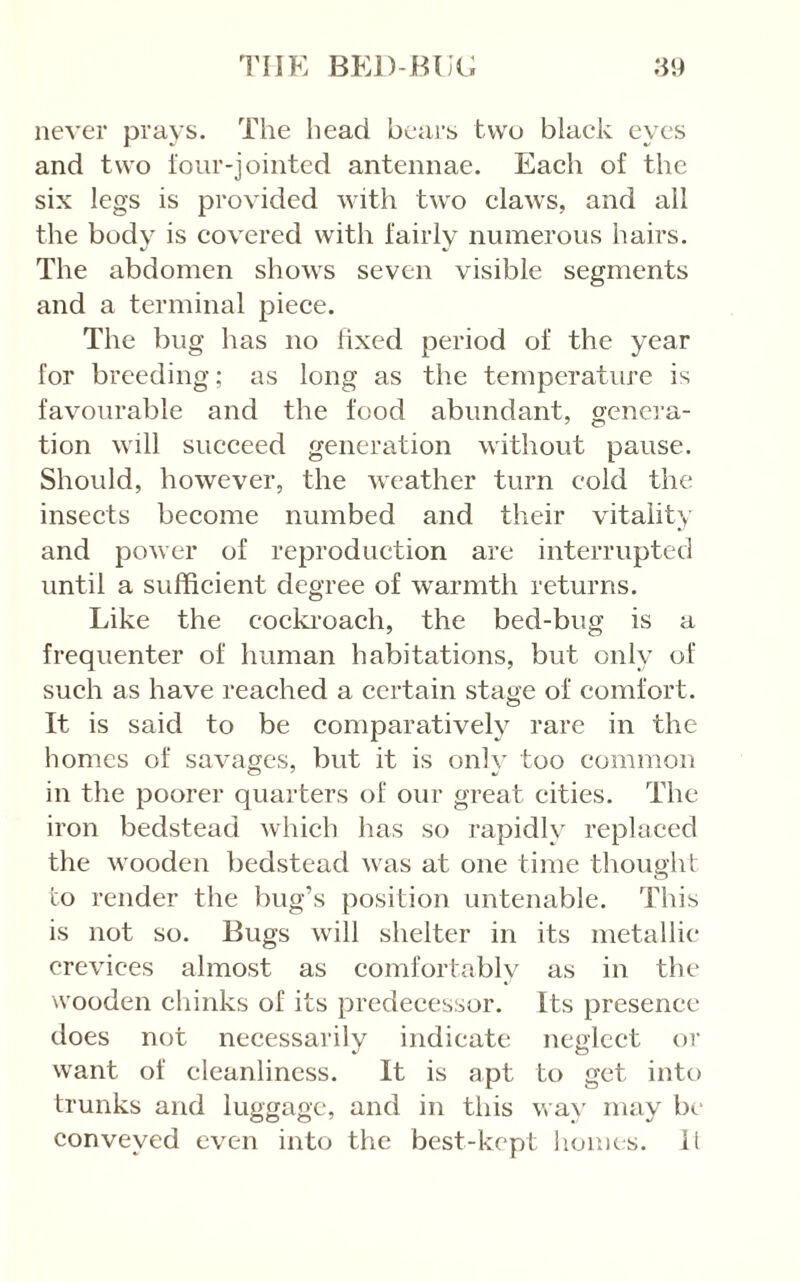 never prays. The head bears two blaek eyes and two iour-jointed antennae. Eaeh of the six legs is provided with two elaws, and all the bodv is eovered with fairly numerous hairs. The abdomen shows seven visible segments and a terminal pieee. The bug has no fixed period of the year for breeding; as long as the temperature is favourable and the food abundant, gcnei’a- tion will sueeeed generation without pause. Should, however, the weather turn cold the insects become numbed and their vitality and power of reproduction are interrupted until a sufficient degree of warmth returns. Like the cocki‘oach, the bed-bug is a frequenter of human habitations, but only of such as have reached a certain staae of comfort. o It is said to be comparatively rare in the homes of savages, but it is only too common in the poorer quarters of our great cities. The iron bedstead which has so rapidly replaced the wooden bedstead was at one time tliought to render the bug’s position untenable. This is not so. Bugs will shelter in its metallic crevices almost as comfortably as in the \vooden chinks of its predecessor. Its presence does not necessarilv indicate neglect or want of cleanliness. It is apt to get into trunks and luggage, and in this way may be conveyed even into the best-kept homes, it