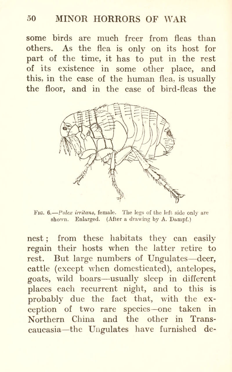 some birds are much freer from fleas than others. As the flea is only on its host for part of the time, it has to put in the rest of its existence in some other place, and this, in the case of the human flea, is usually the floor, and in the case of bird-fleas the Fia. 6.—Fulex irritans, female. The legs of the left side only are shown. Enlarged. (After a drawing by A. Dampf.) nest; from these habitats they can easily regain their hosts when the latter retire to rest. But large numbers of Ungulates—deer, cattle (except when domesticated), antelopes, goats, wild boars—usually sleep in different places each recurrent night, and to this is probably due the fact that, with the ex- ception of two rare species—one taken in Northern China and the other in Trans- caucasia—the Ungulates have furnished de-
